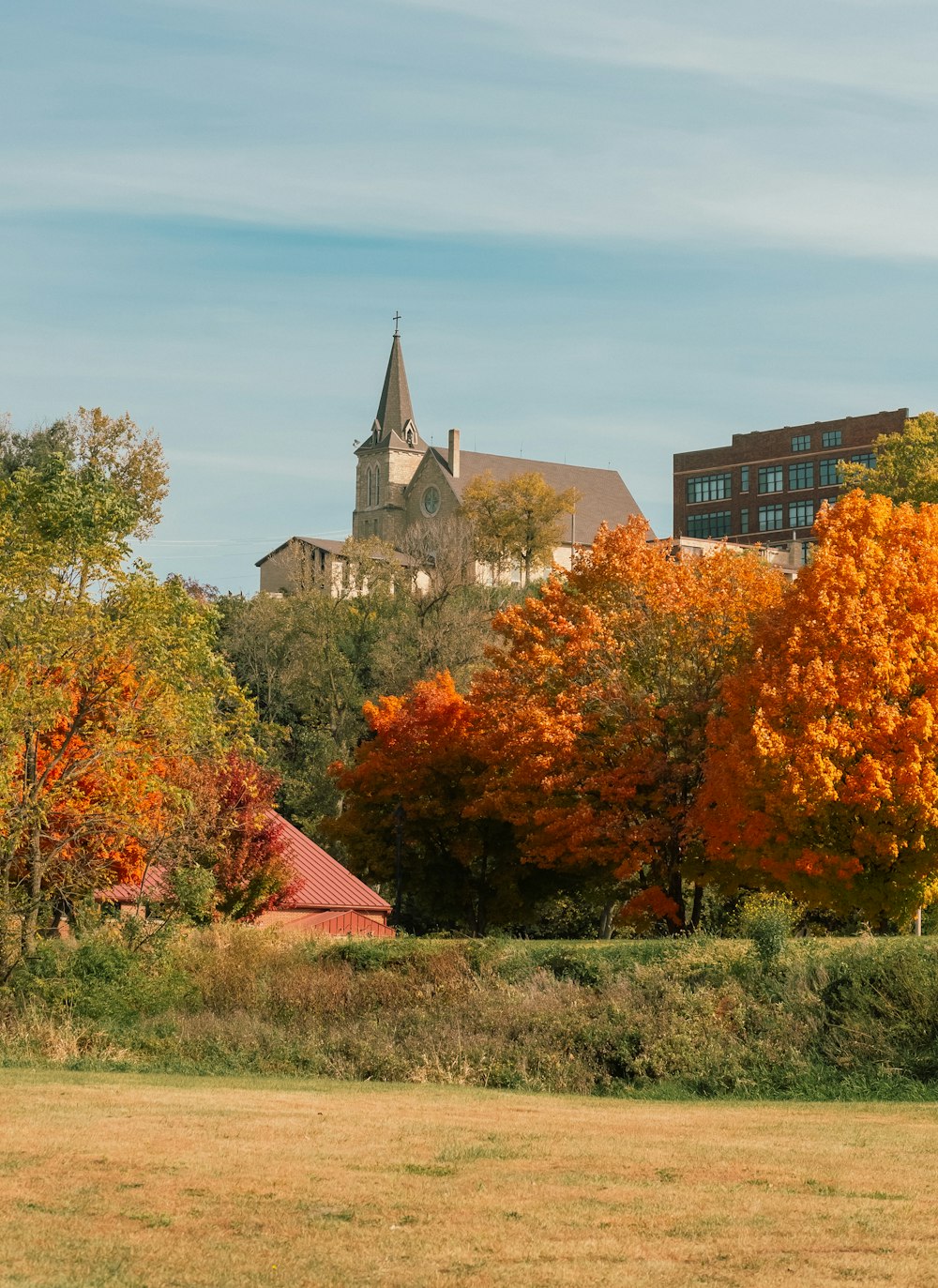 a building with a steeple behind trees and bushes