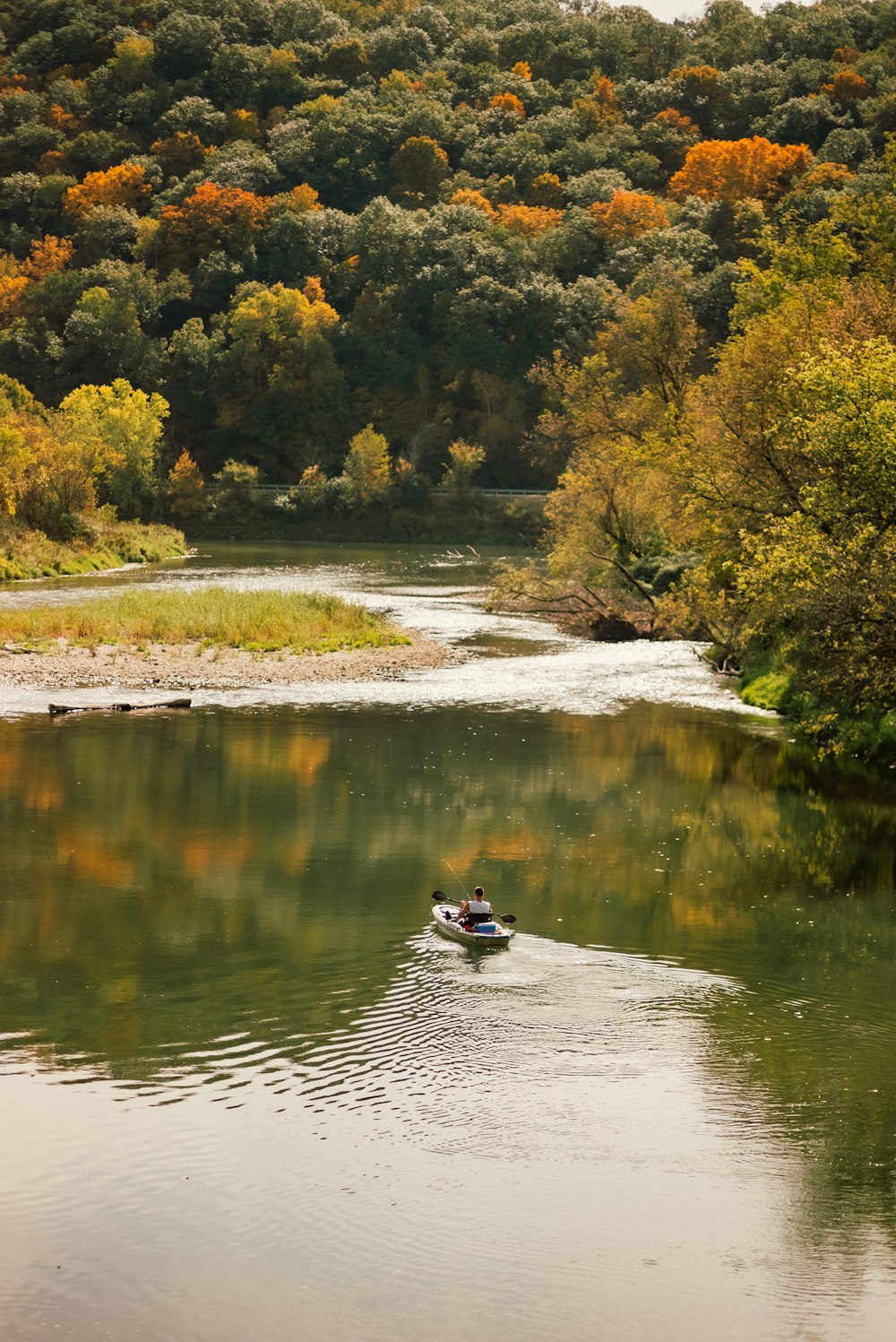 a person in a boat on a river surrounded by trees