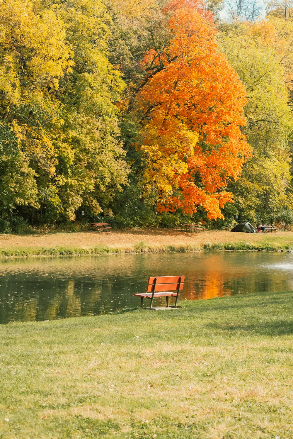 a bench next to a pond