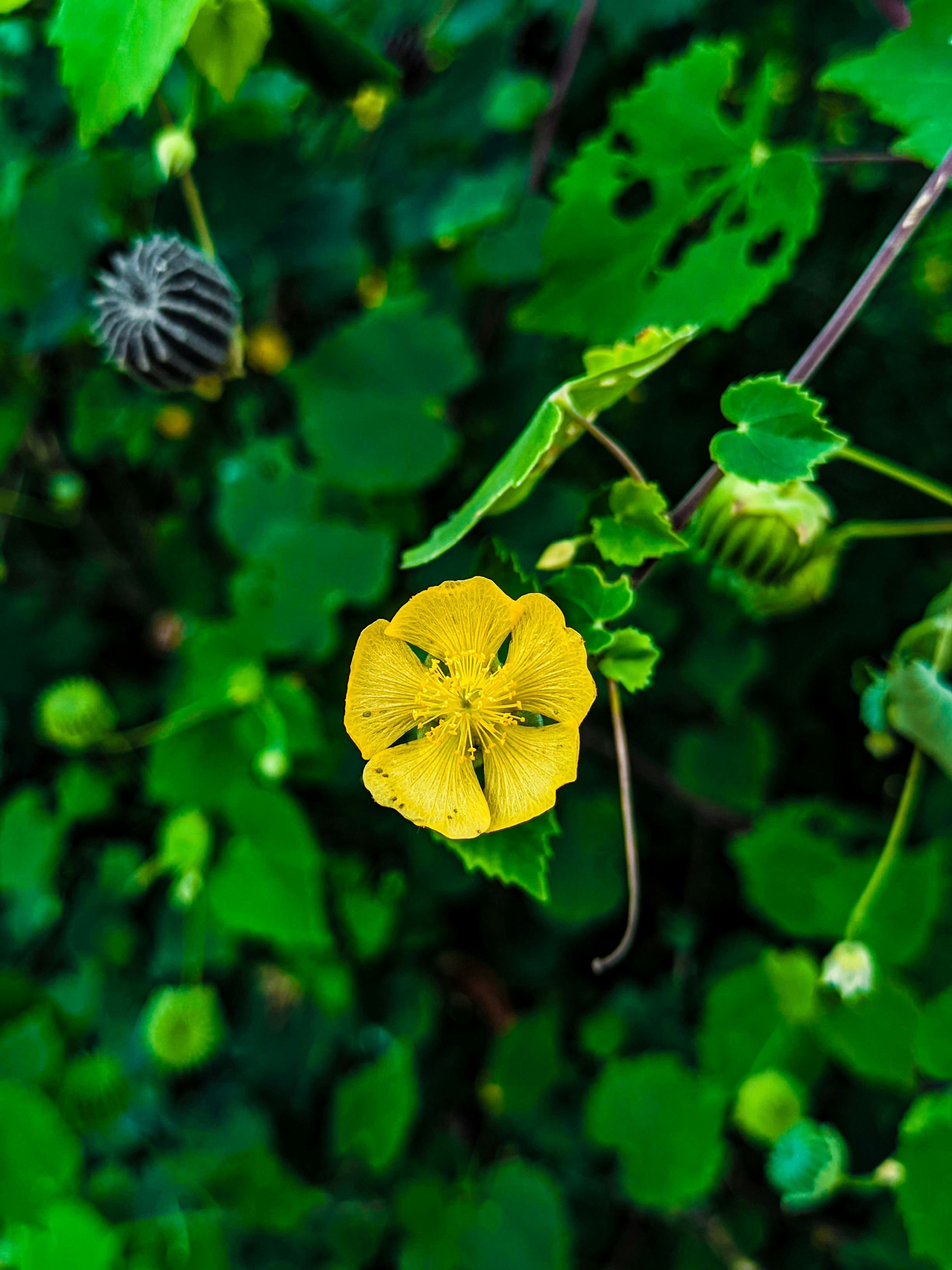 Photo by mubinurrahmanmrp