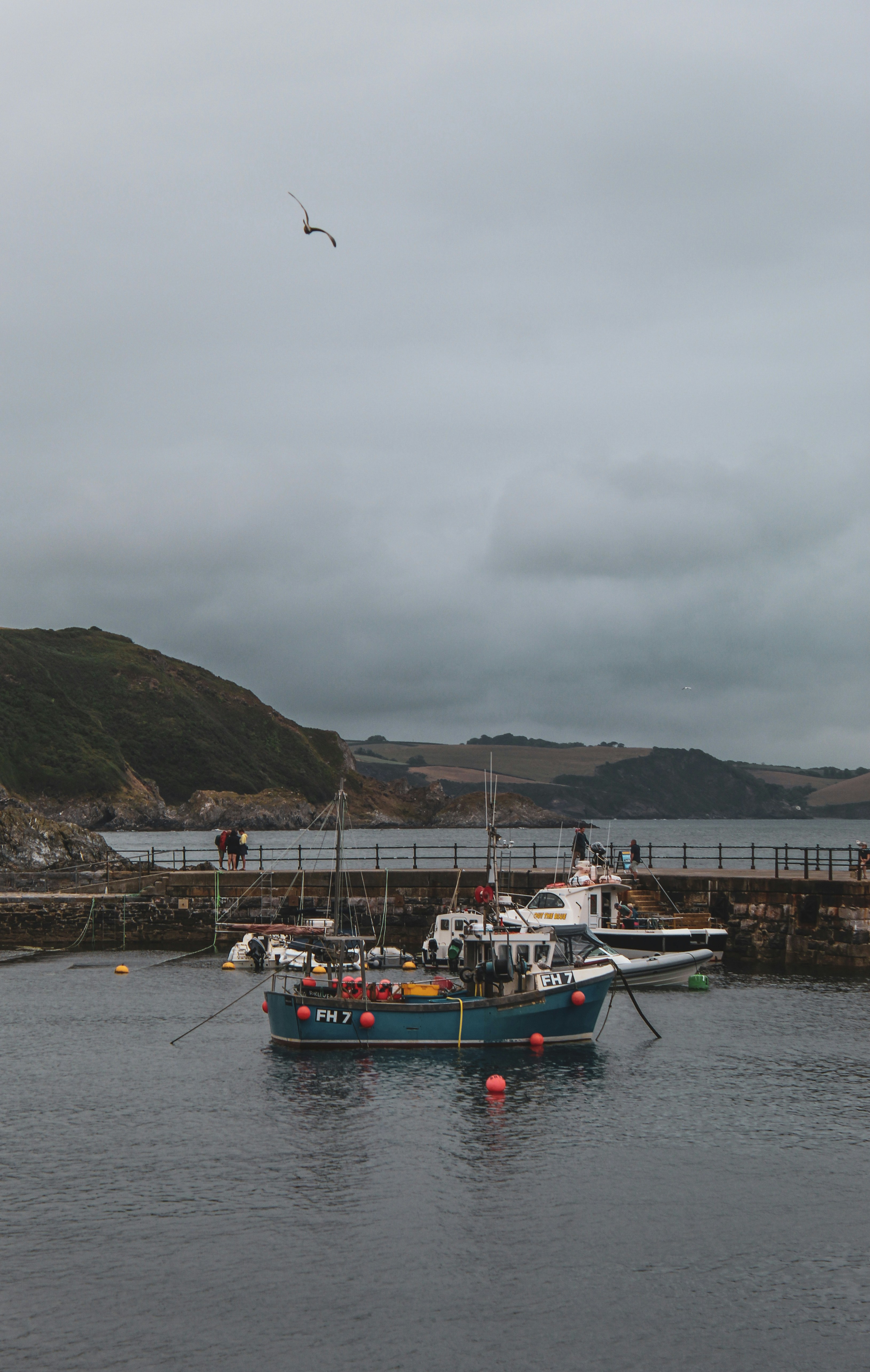 Photo by focalinsight