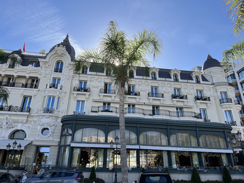 a large white building with a palm tree in front of it