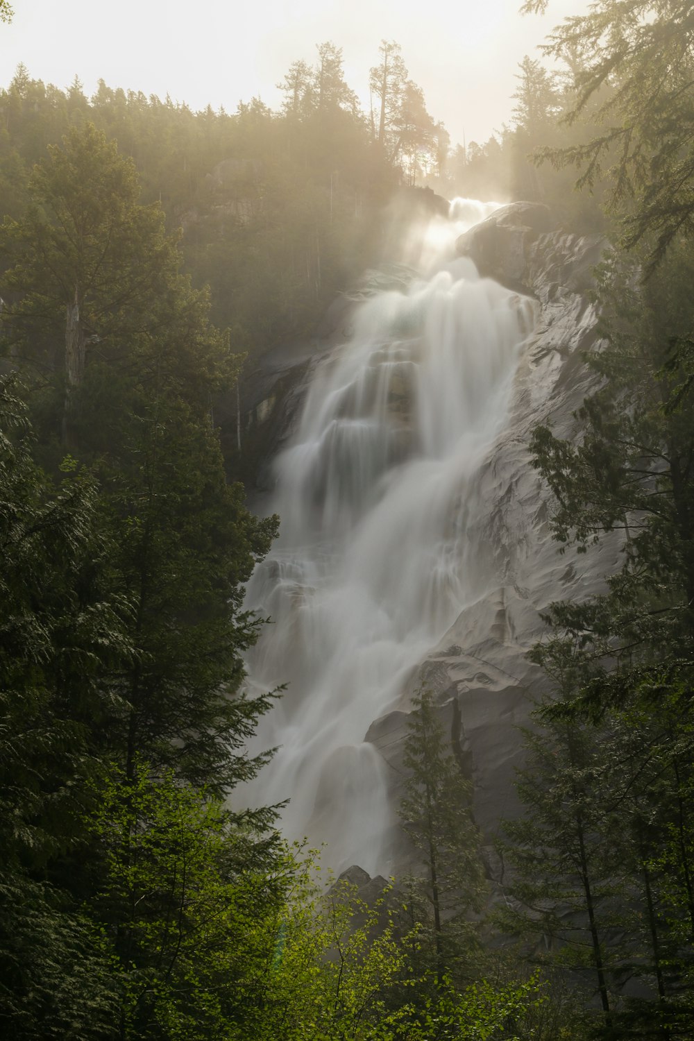 a waterfall in a forest