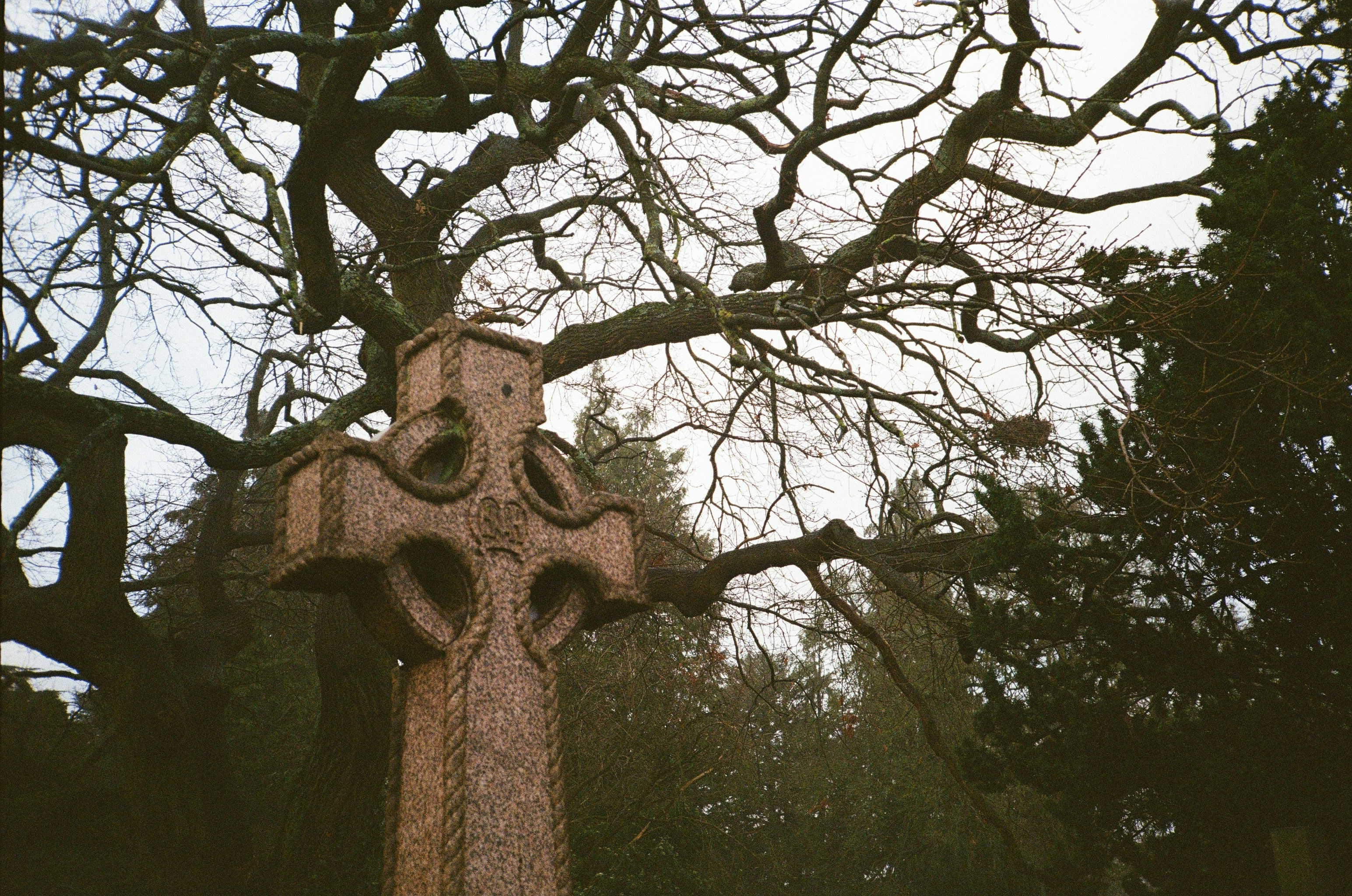 Ein hoher Backsteinturm mit einem Baum davor