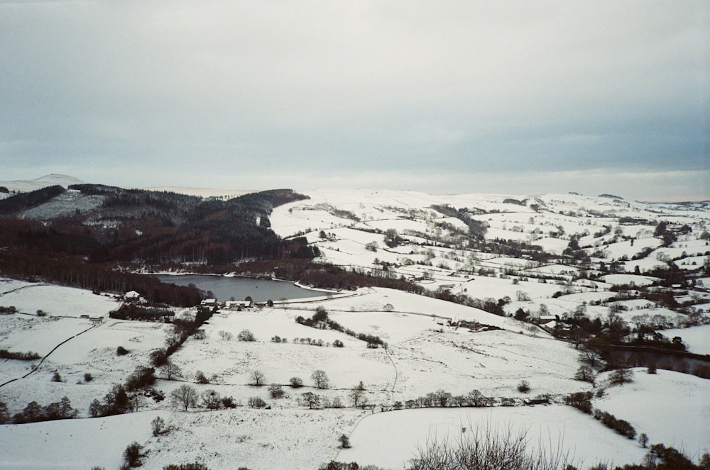 a snowy landscape with trees and a body of water