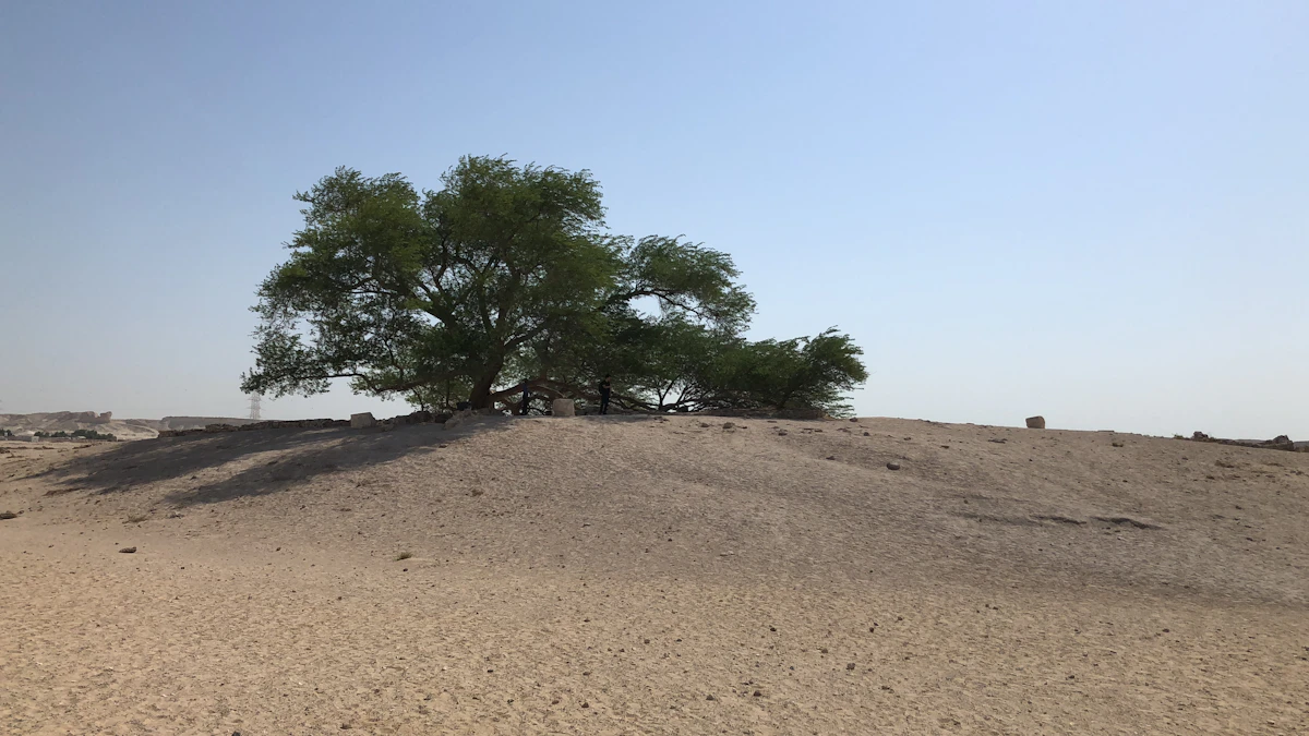 Arbre de vie