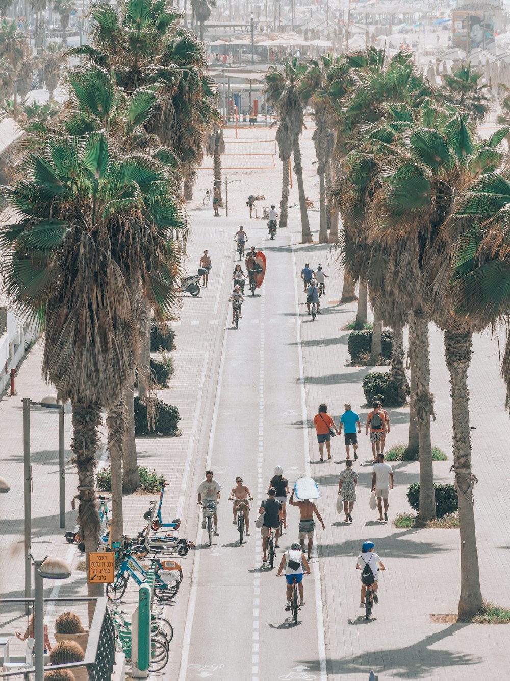 a group of people riding bicycles