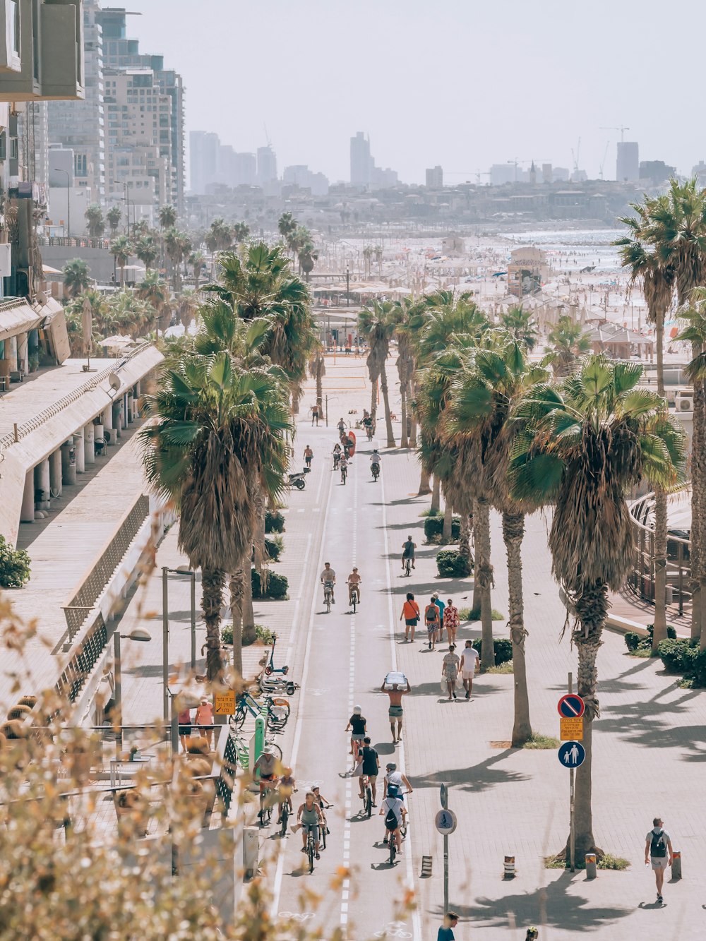 a group of people walking on a street with palm trees and buildings