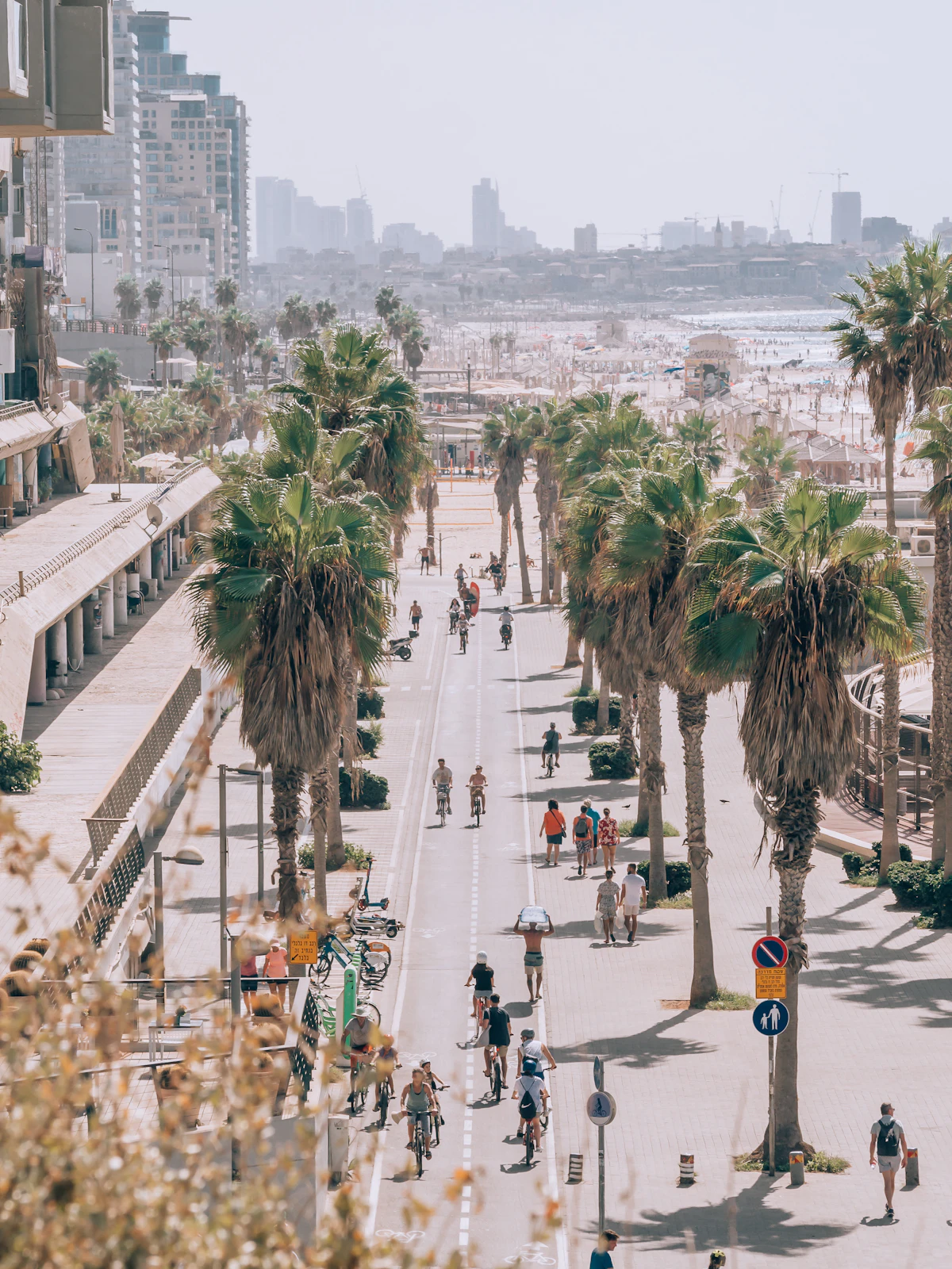 A coastal city skyline on a clear day