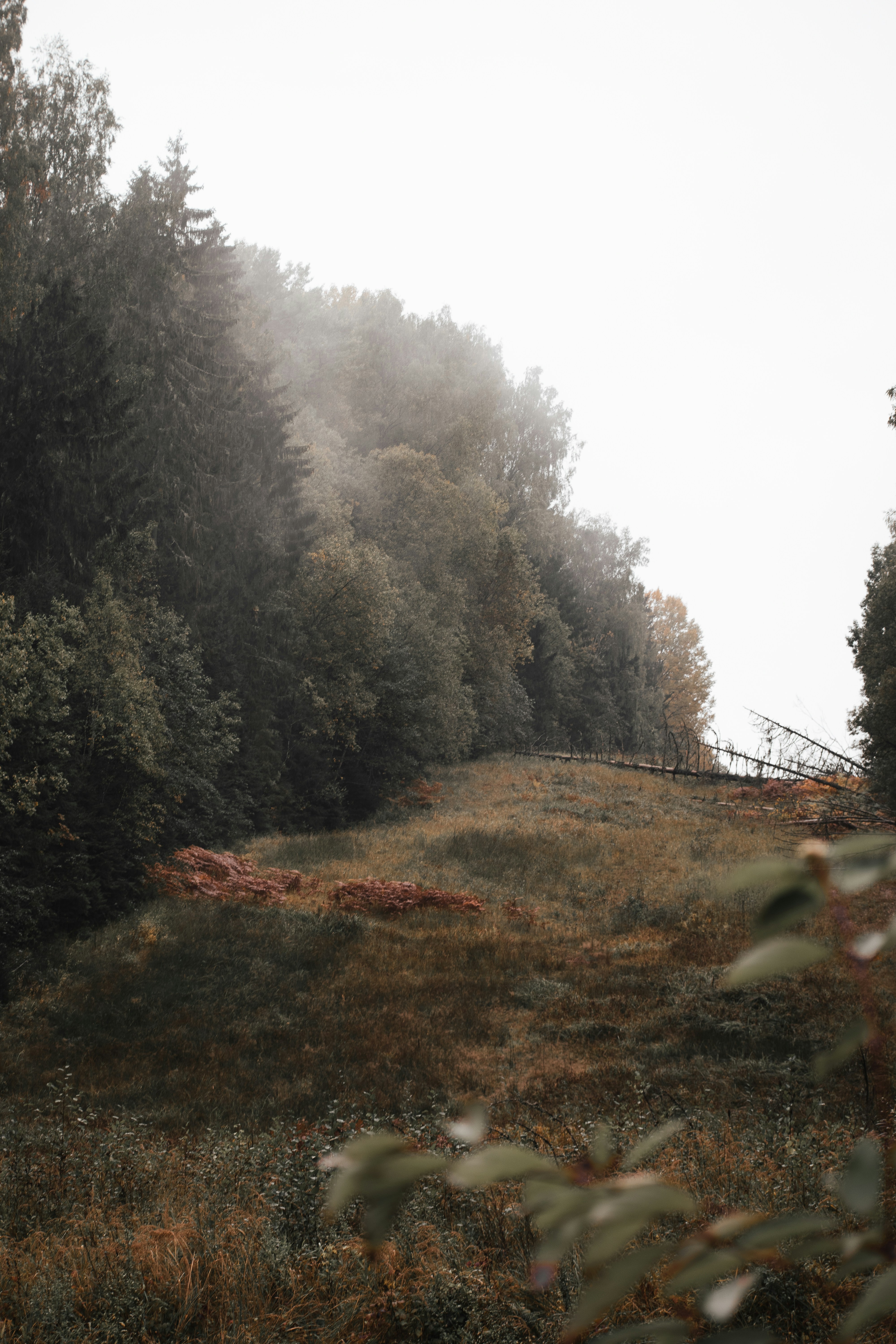 Photo by christina_kozak