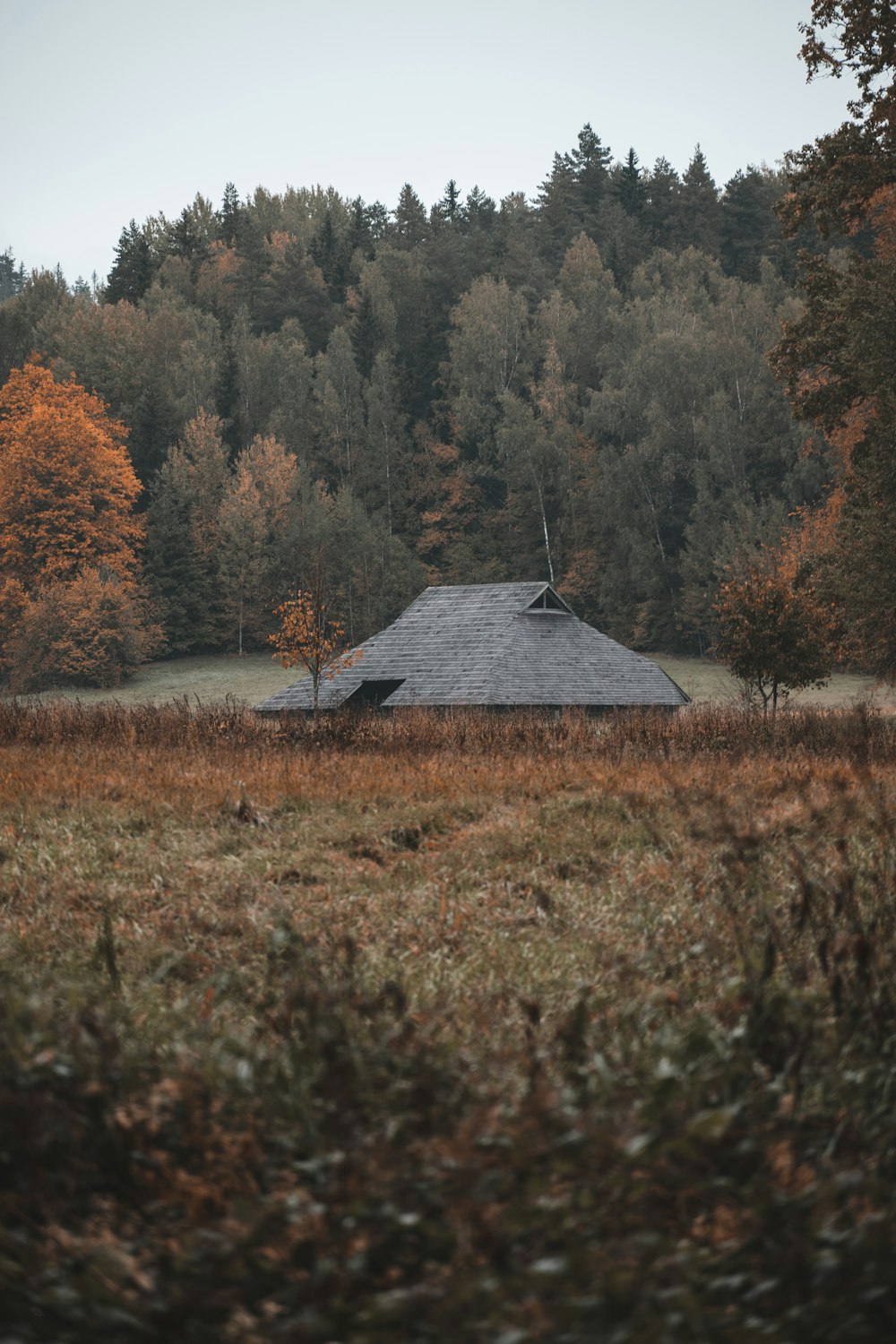 a house in a field with trees around it