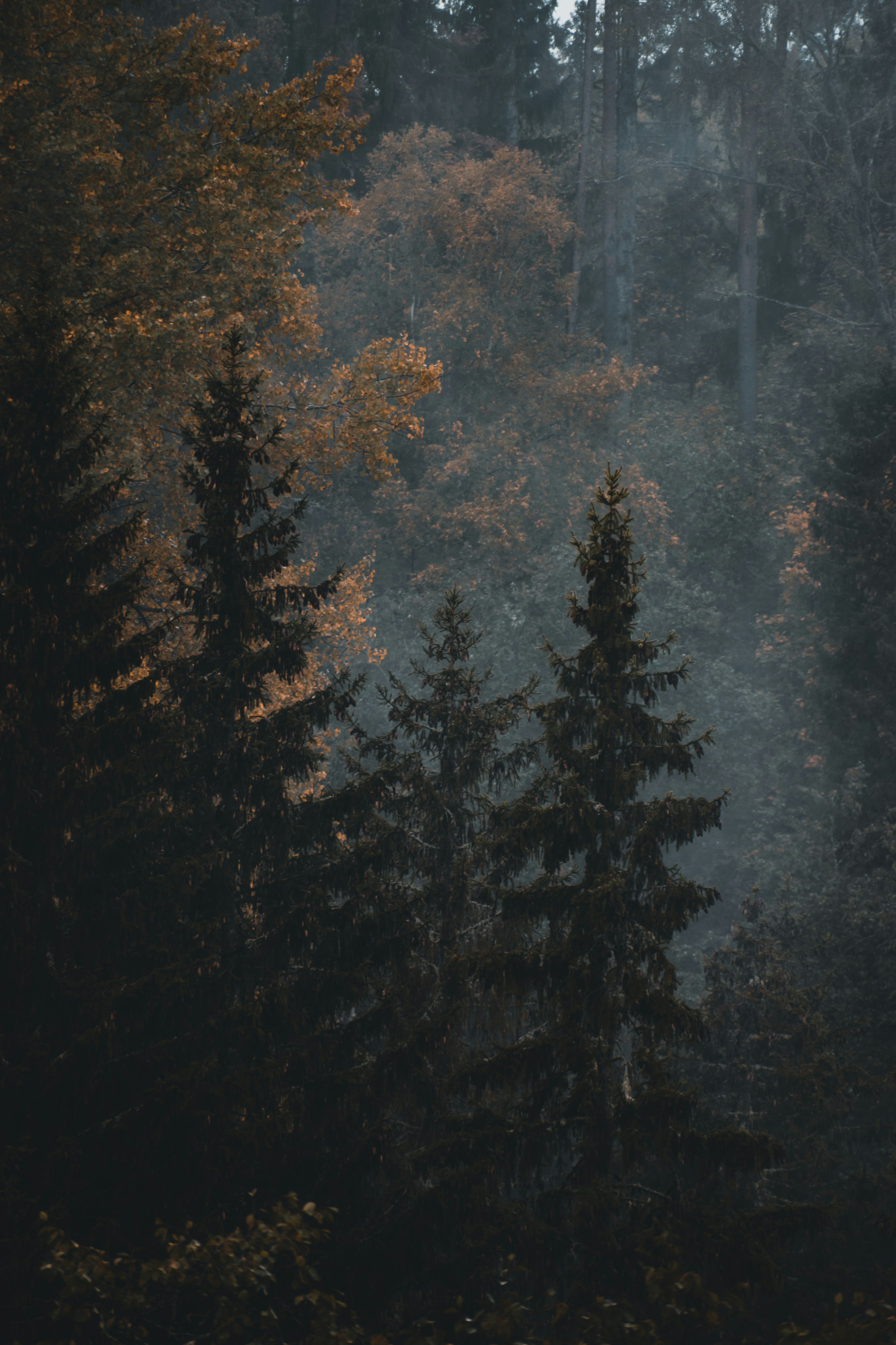 Photo by christina_kozak