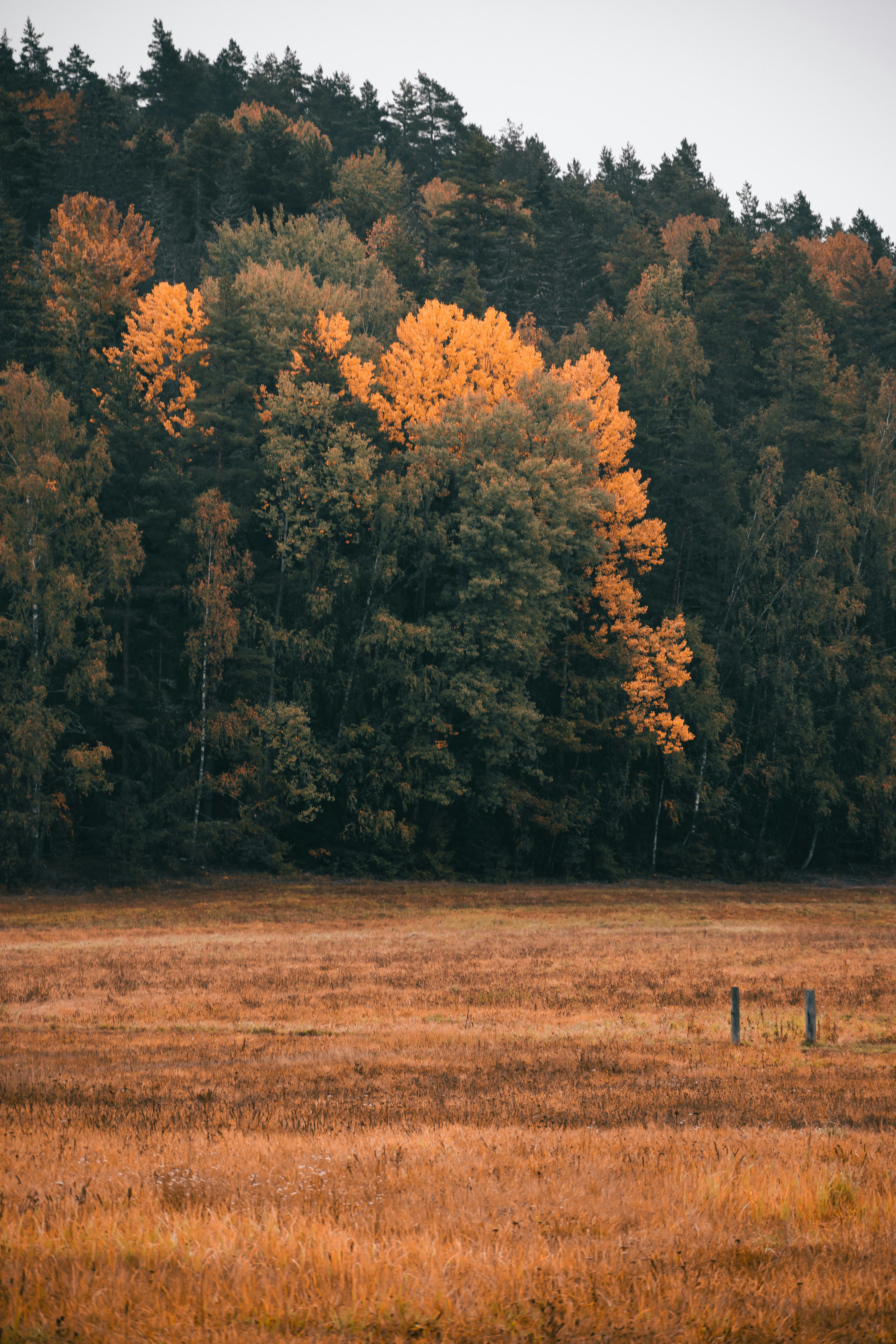 Photo by christina_kozak