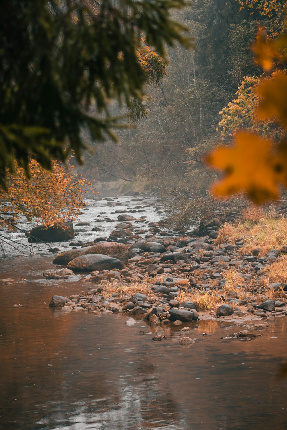 a river with rocks and trees