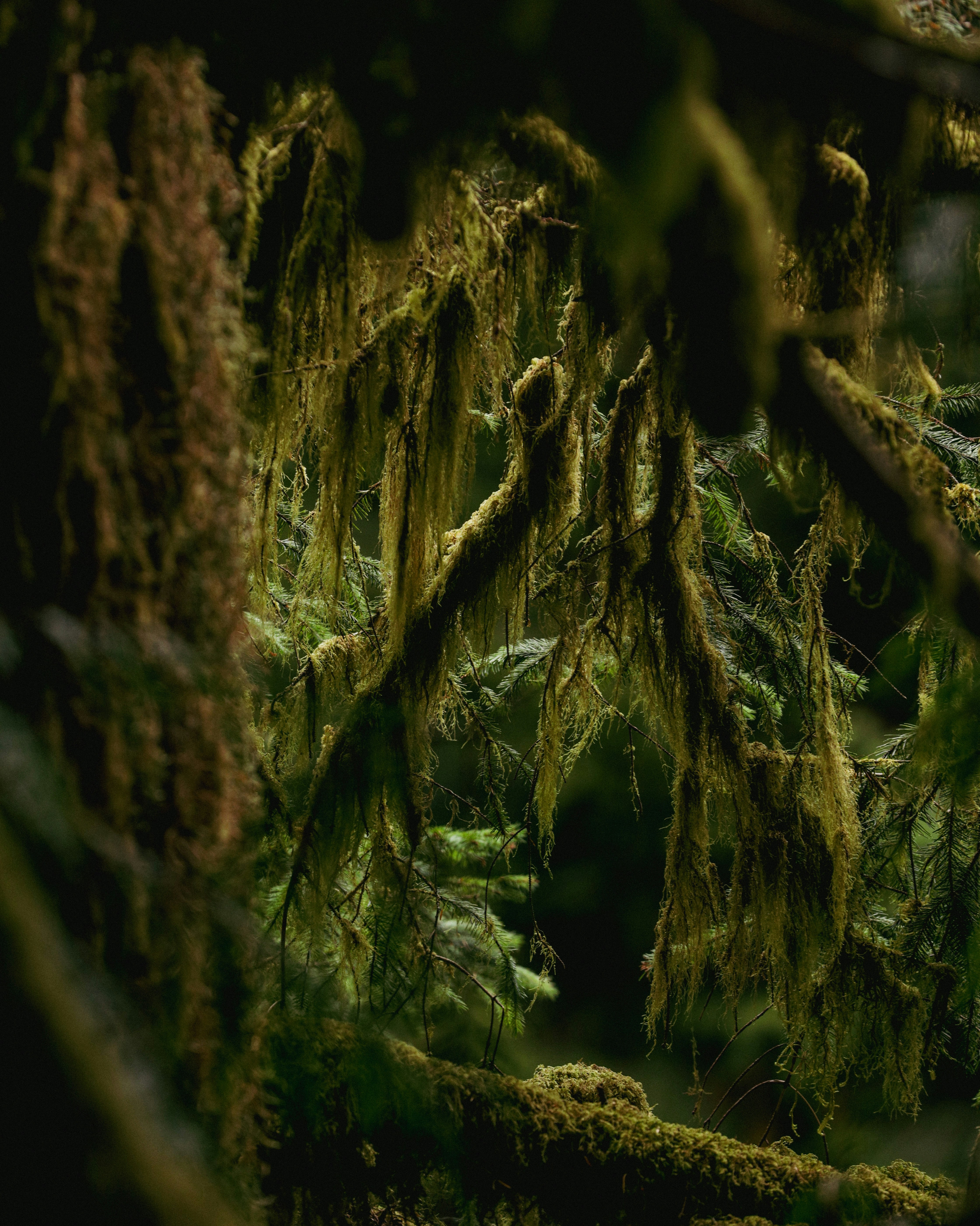 Photo by blakecheekk