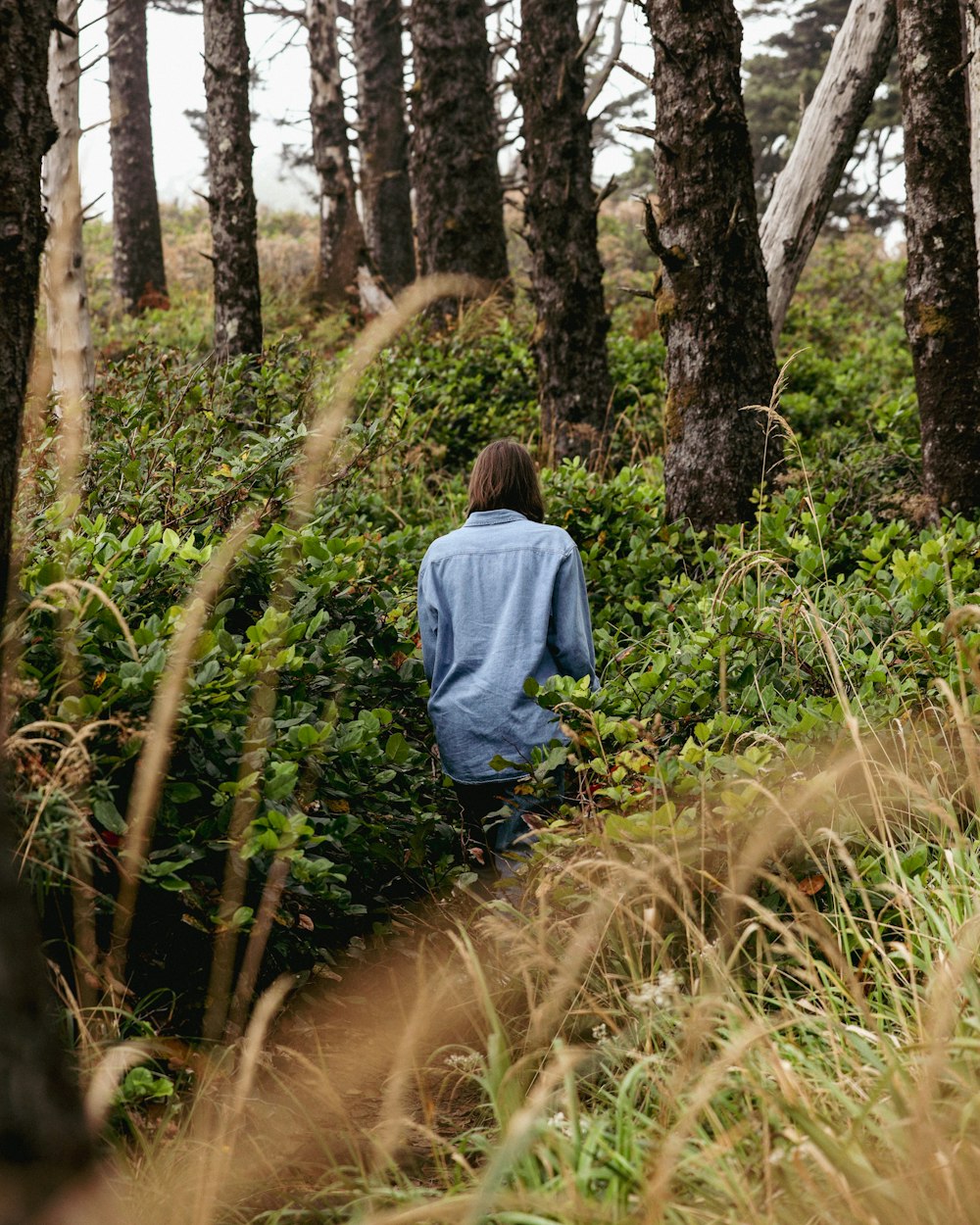 a person walking through a forest