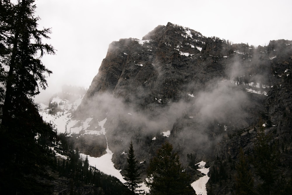 a foggy mountain side