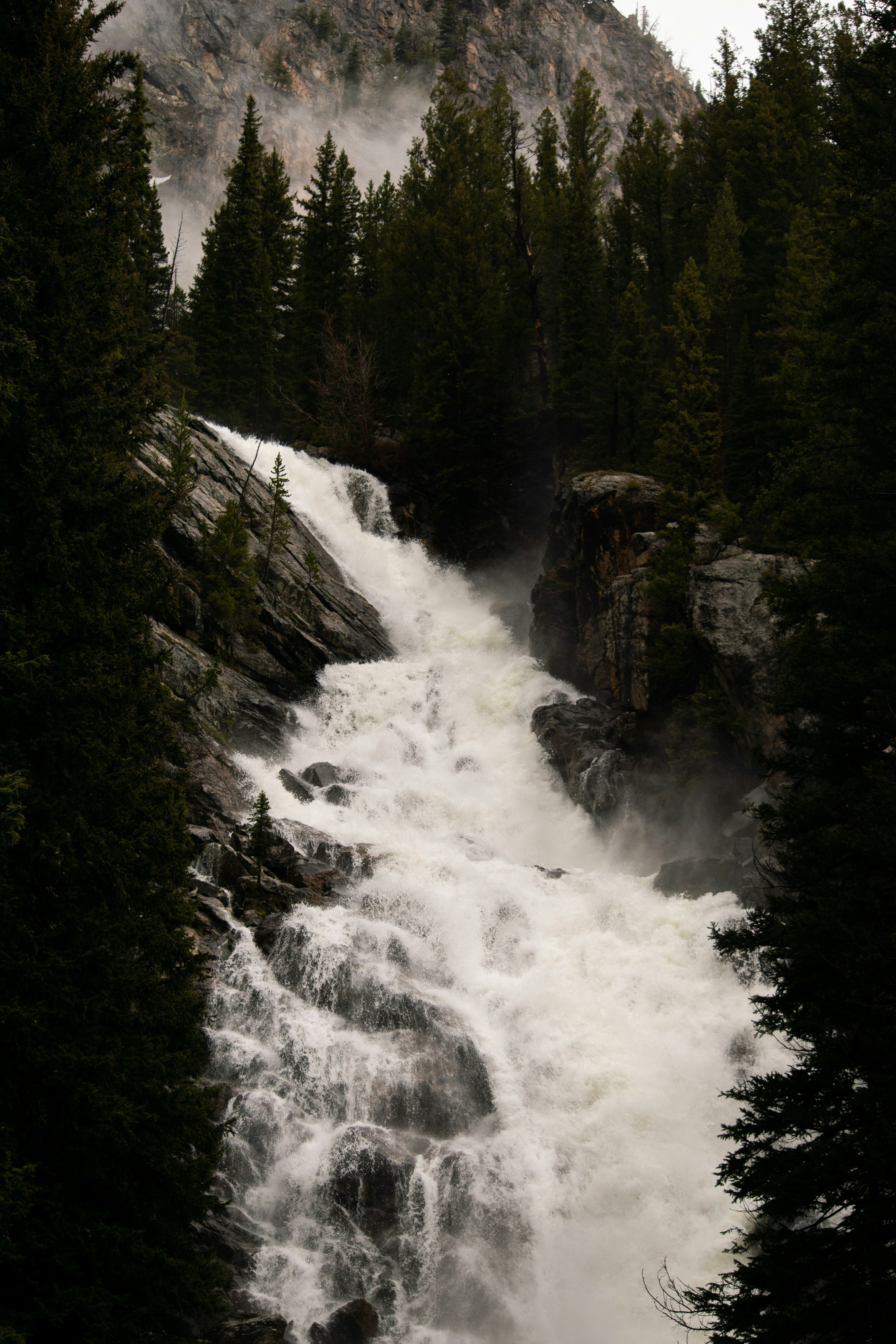 Photo by reileycosta