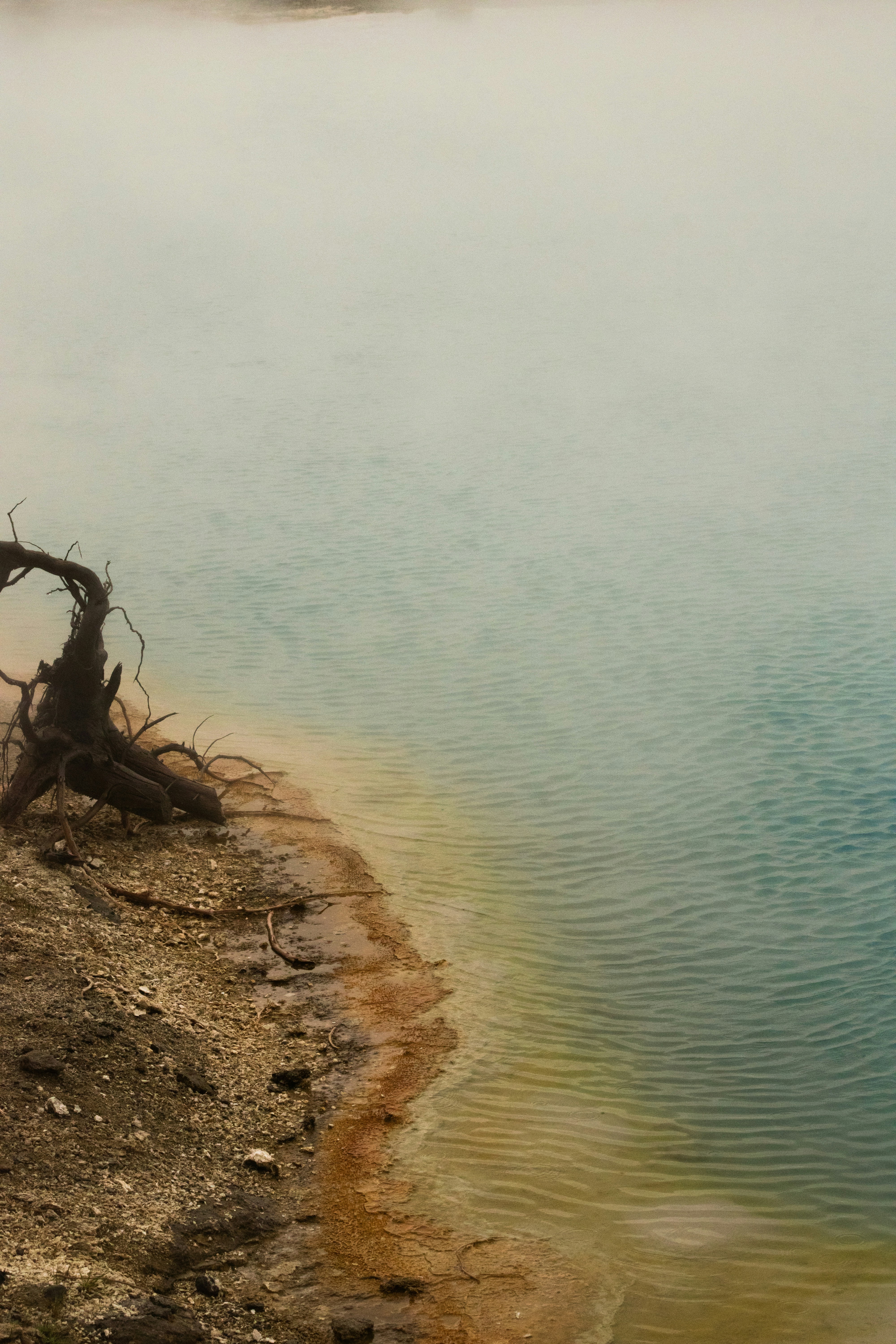 Photo by reileycosta