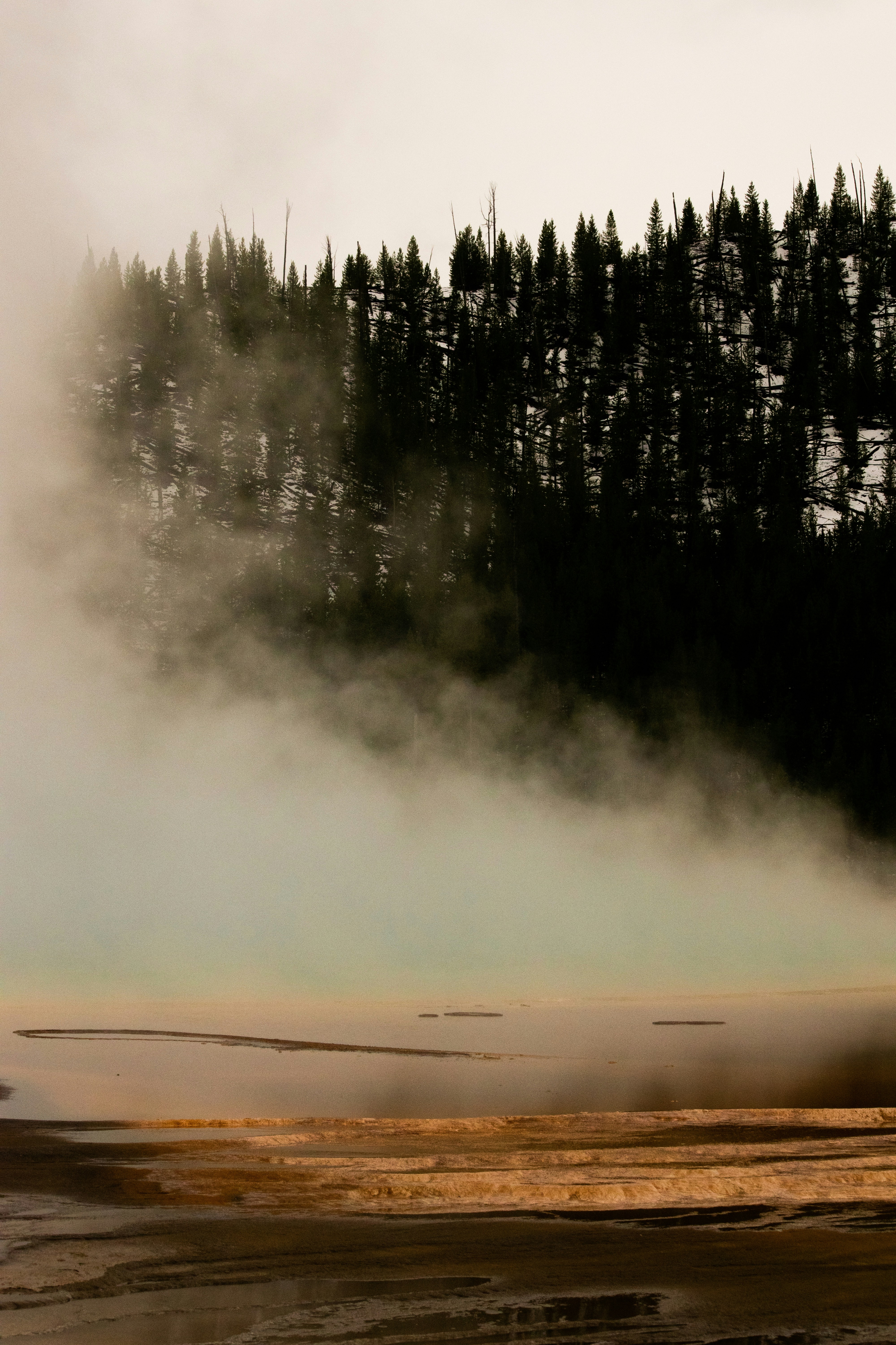 Photo by reileycosta