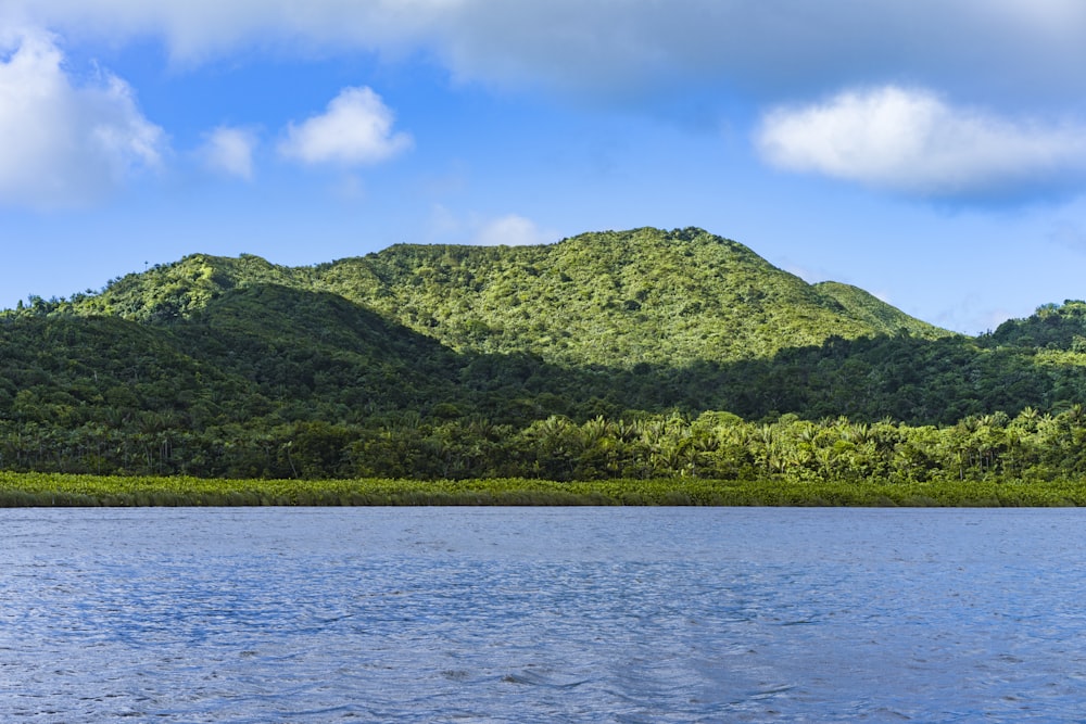 un plan d’eau avec des arbres et des collines en arrière-plan