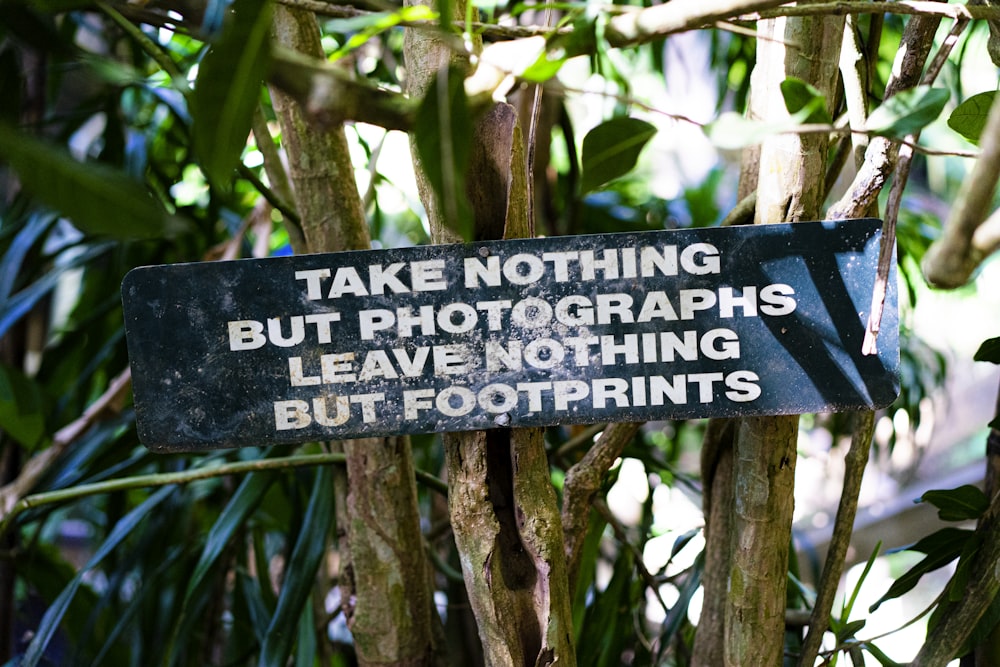 a sign on a tree