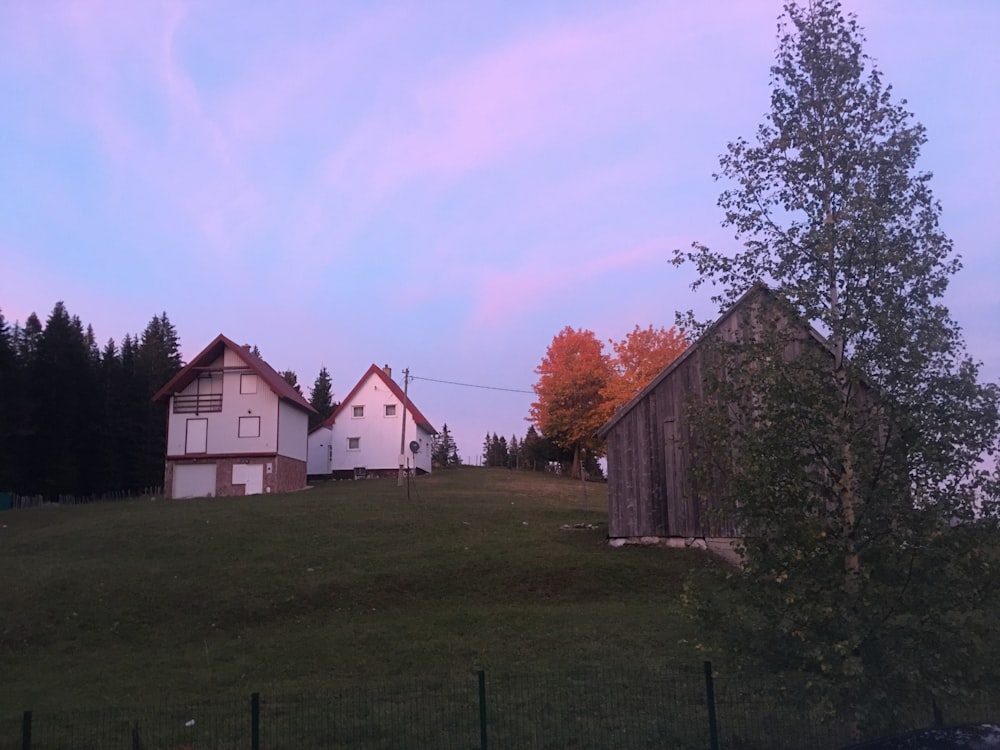 a group of buildings on a hill