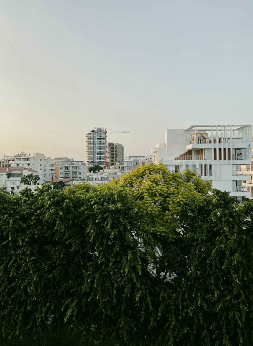 a group of buildings with trees in front of them