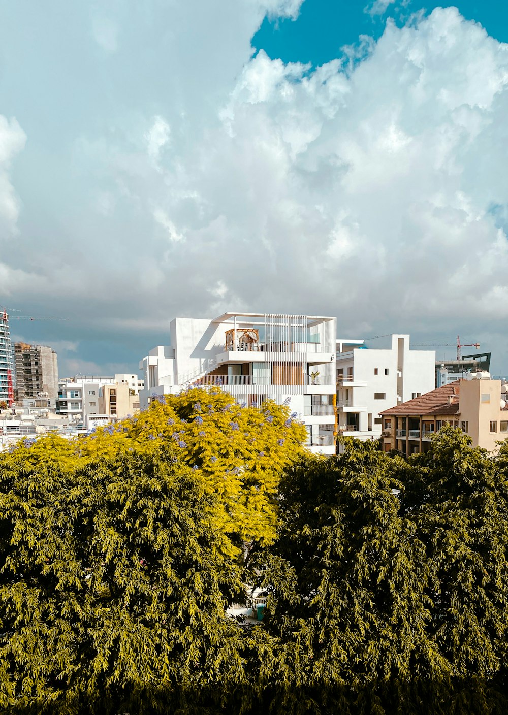 a group of buildings with trees in front of them