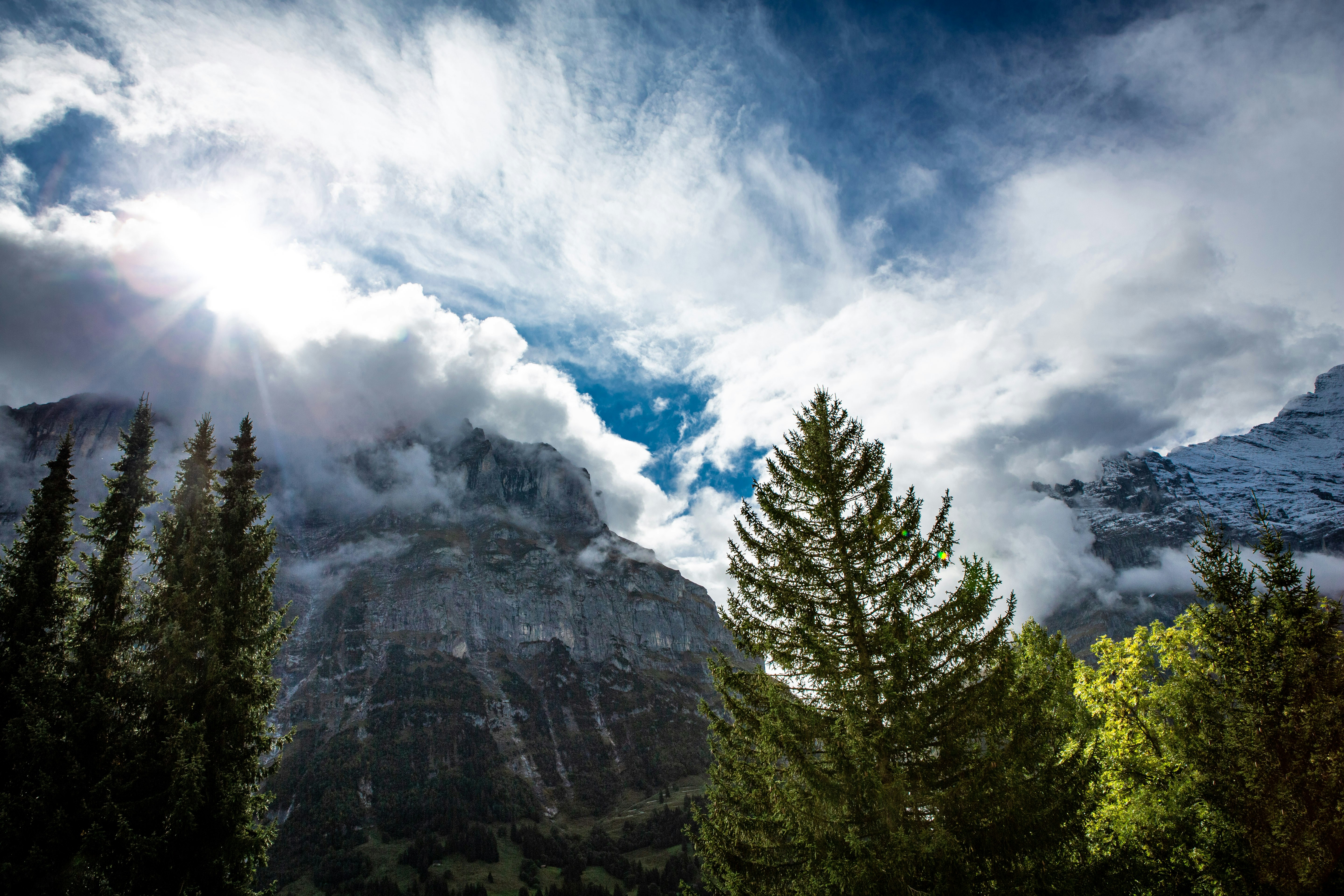 Photo by familyschaffner