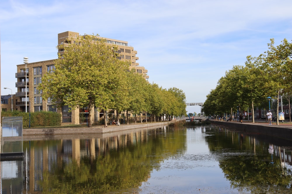 a body of water with trees and buildings around it