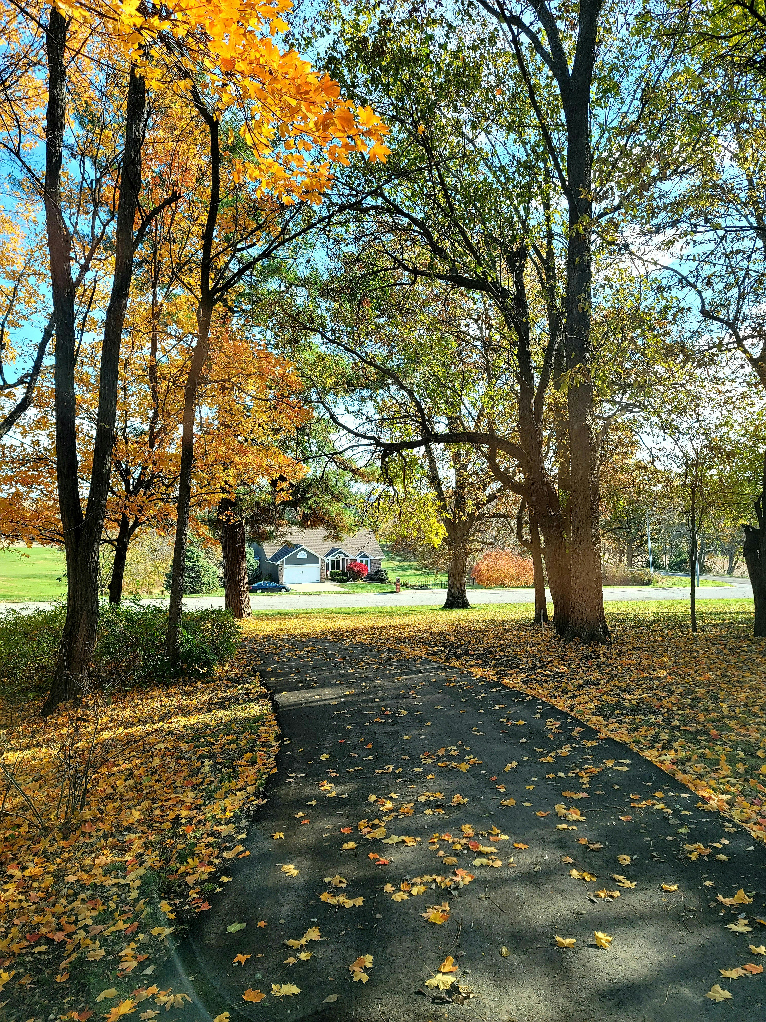 Photo by sikkinixx66