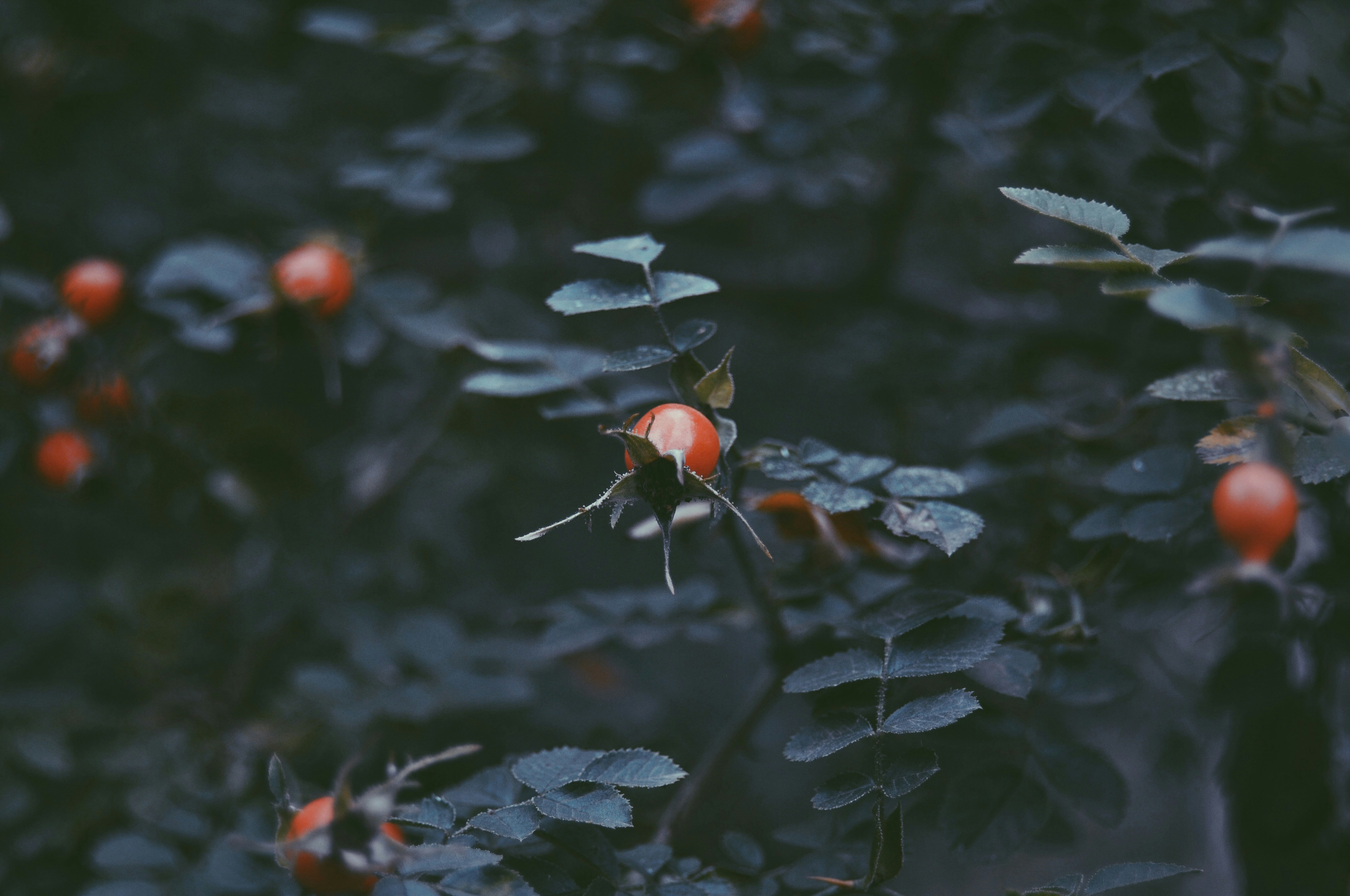 Photo by ensme