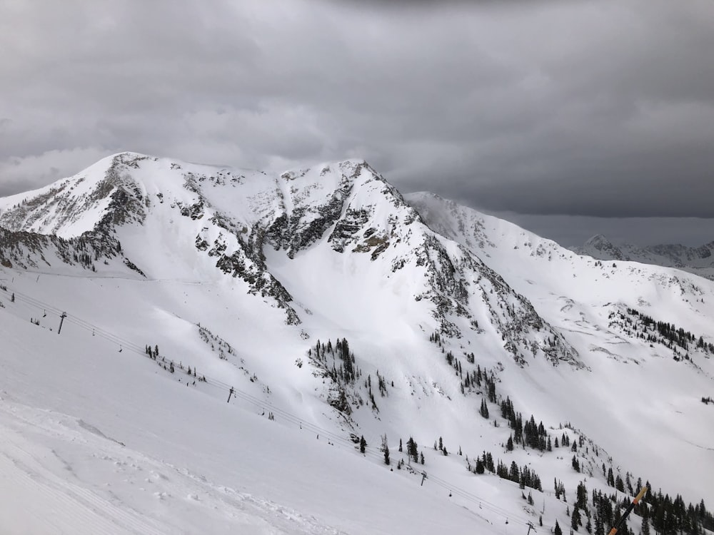 Una montaña nevada con árboles