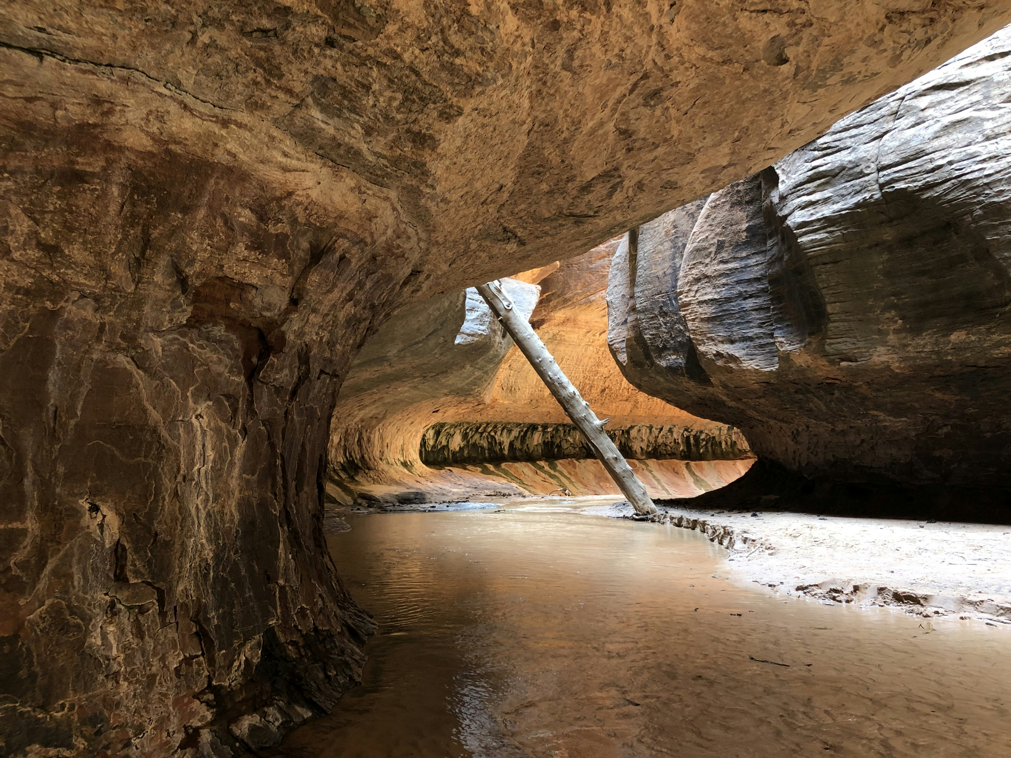 Upper section of the Subway in Zion National Park. A playground of color, rock, water, and the erosive powers at play.