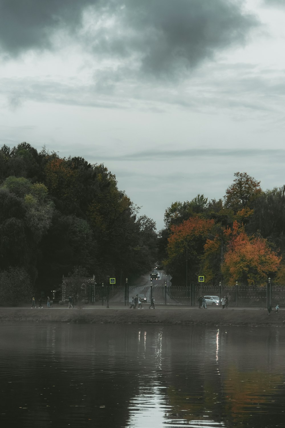 a body of water with trees around it