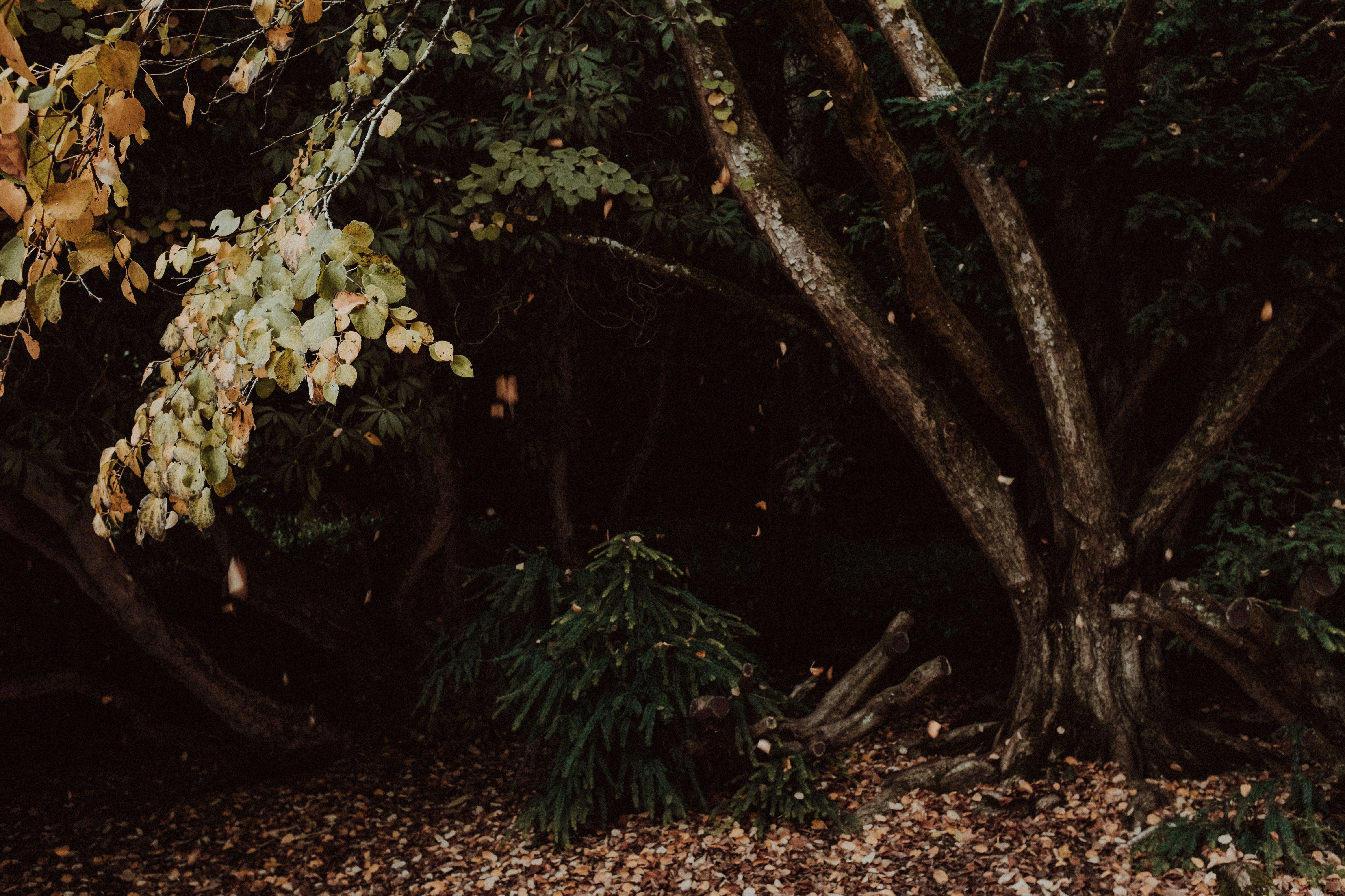 Photo by eleanorbrooke