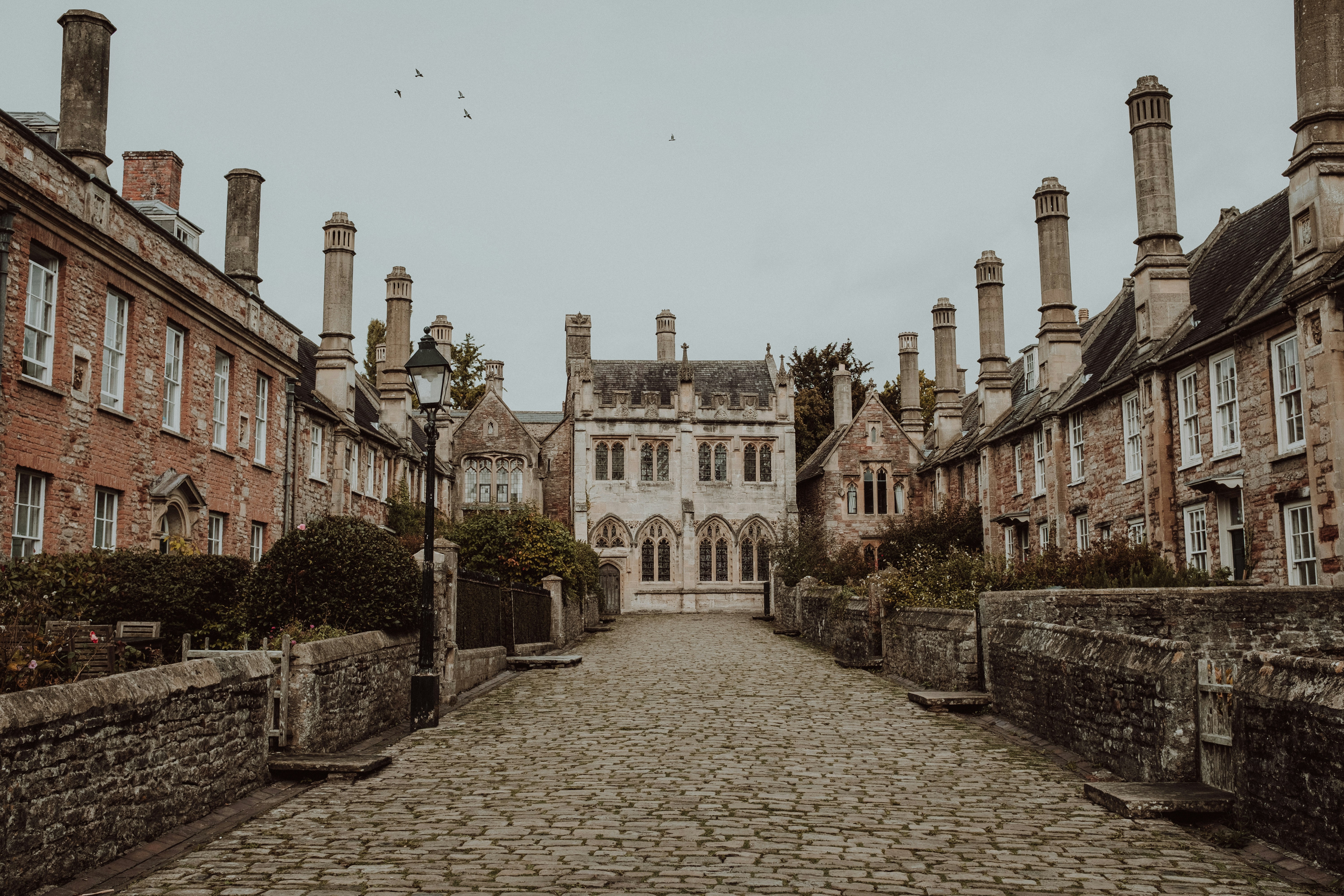 Photo by eleanorbrooke