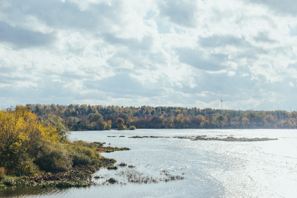 a river with trees on the side