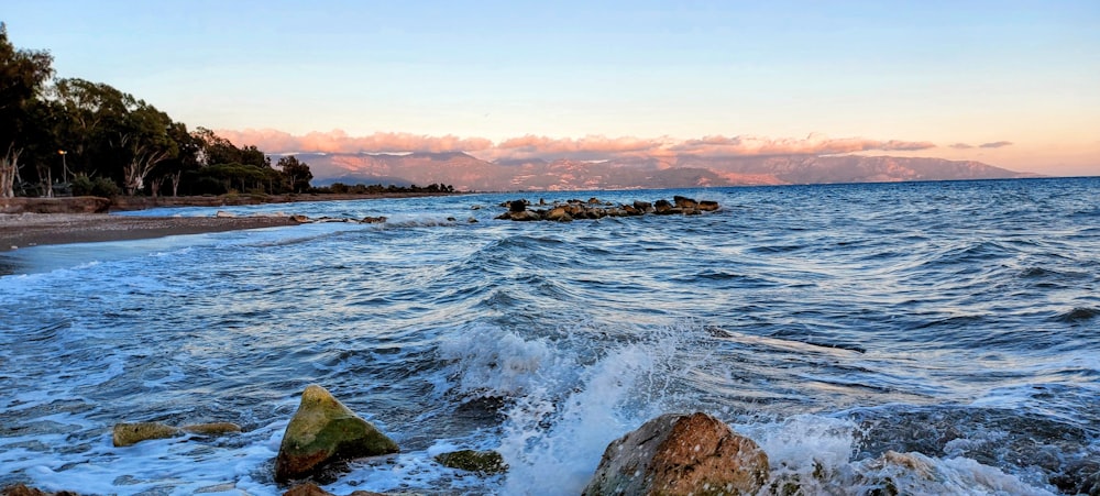 a beach with rocks and trees