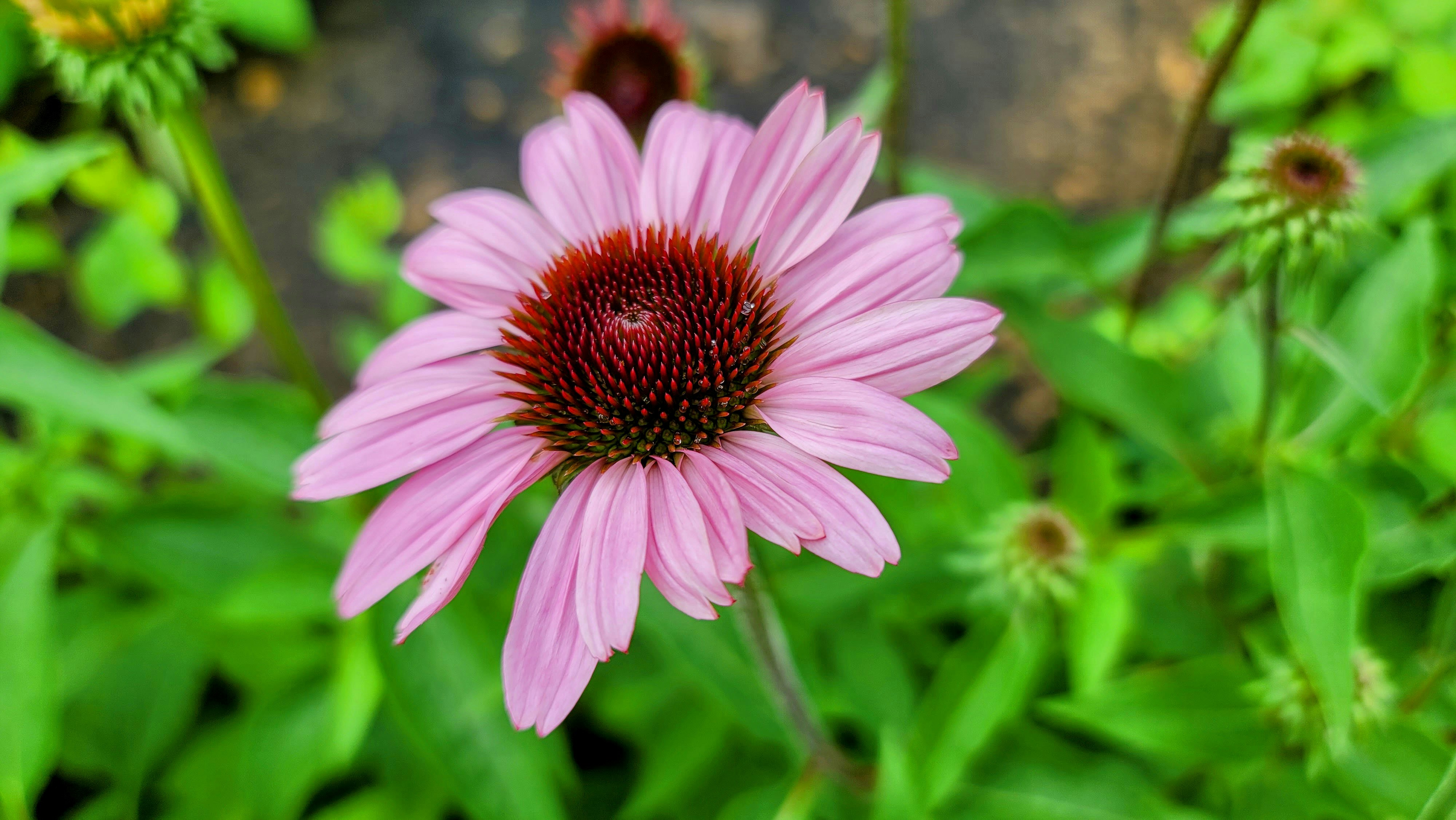 Photo by sikkinixx66