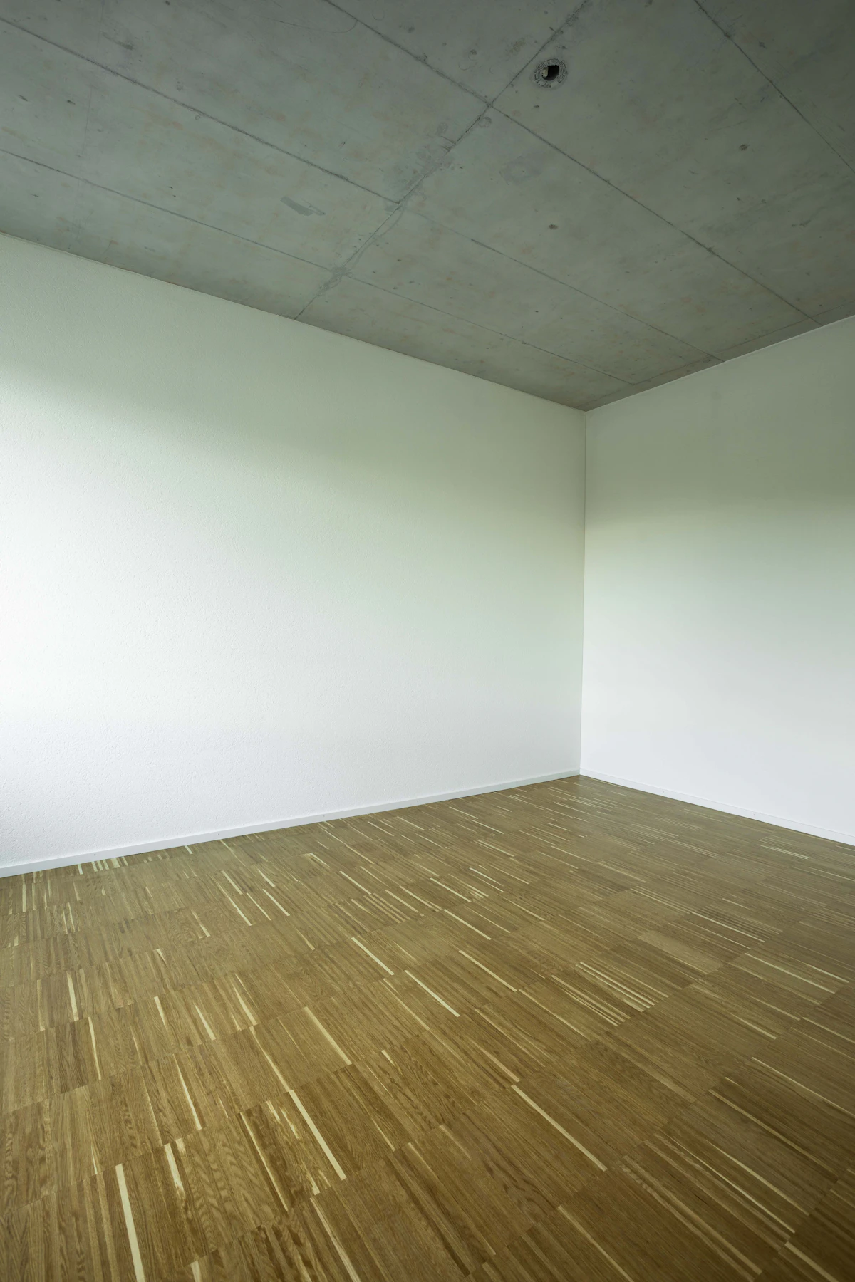 Gallery 3
