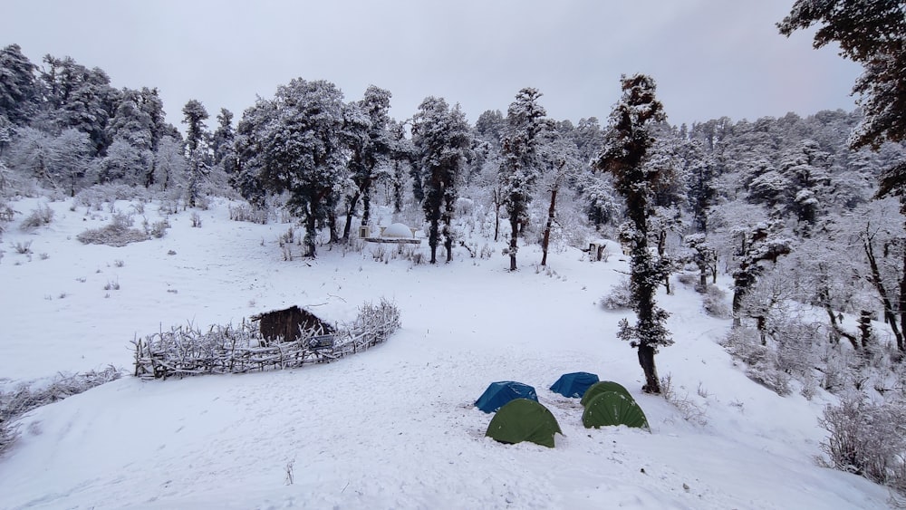 tents in the snow