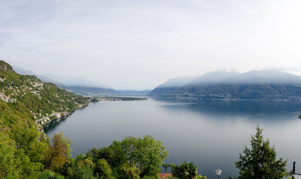 a body of water surrounded by trees