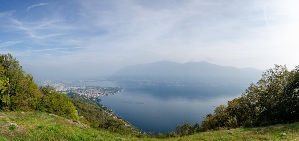 a body of water surrounded by trees