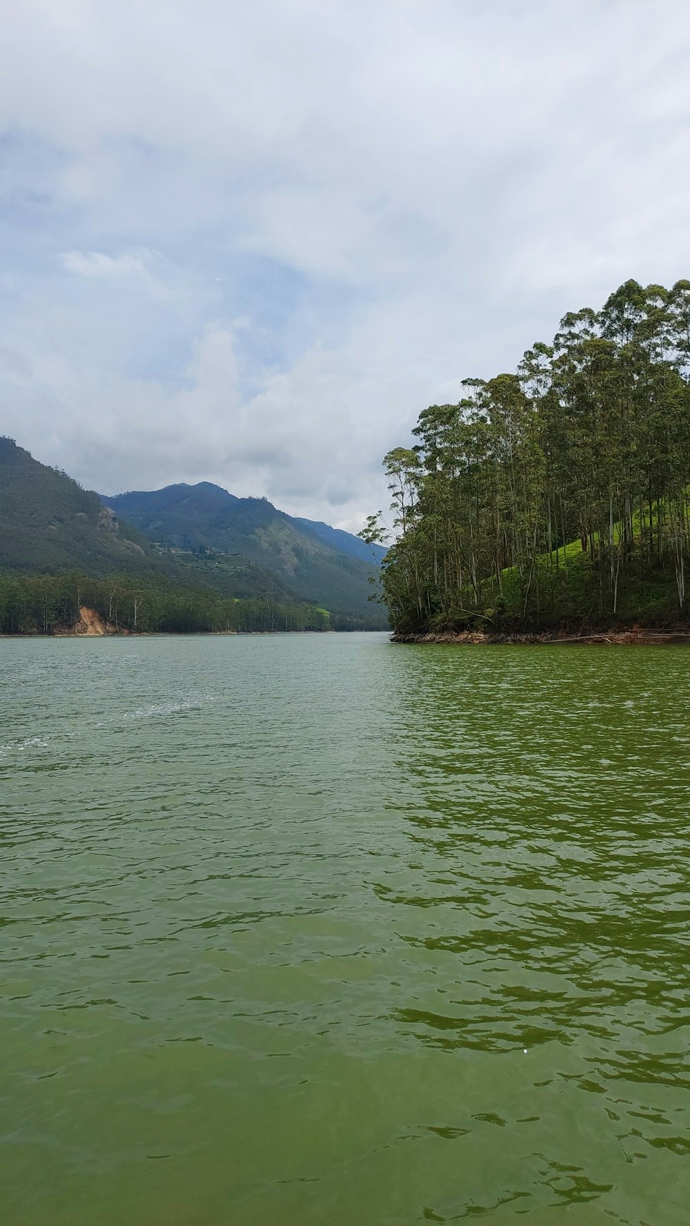 a body of water with trees and mountains in the background