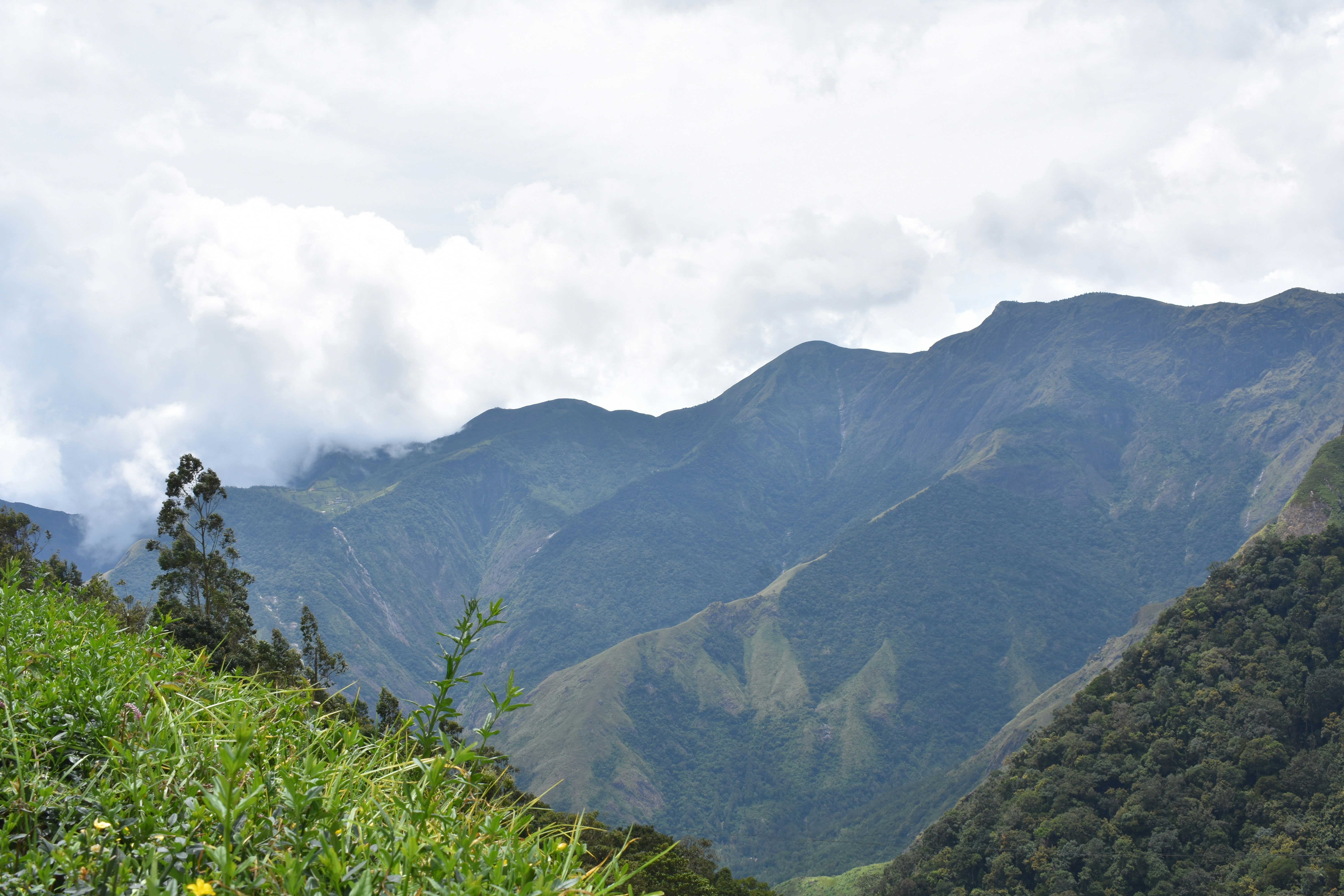 Wonderful Munnar Trip