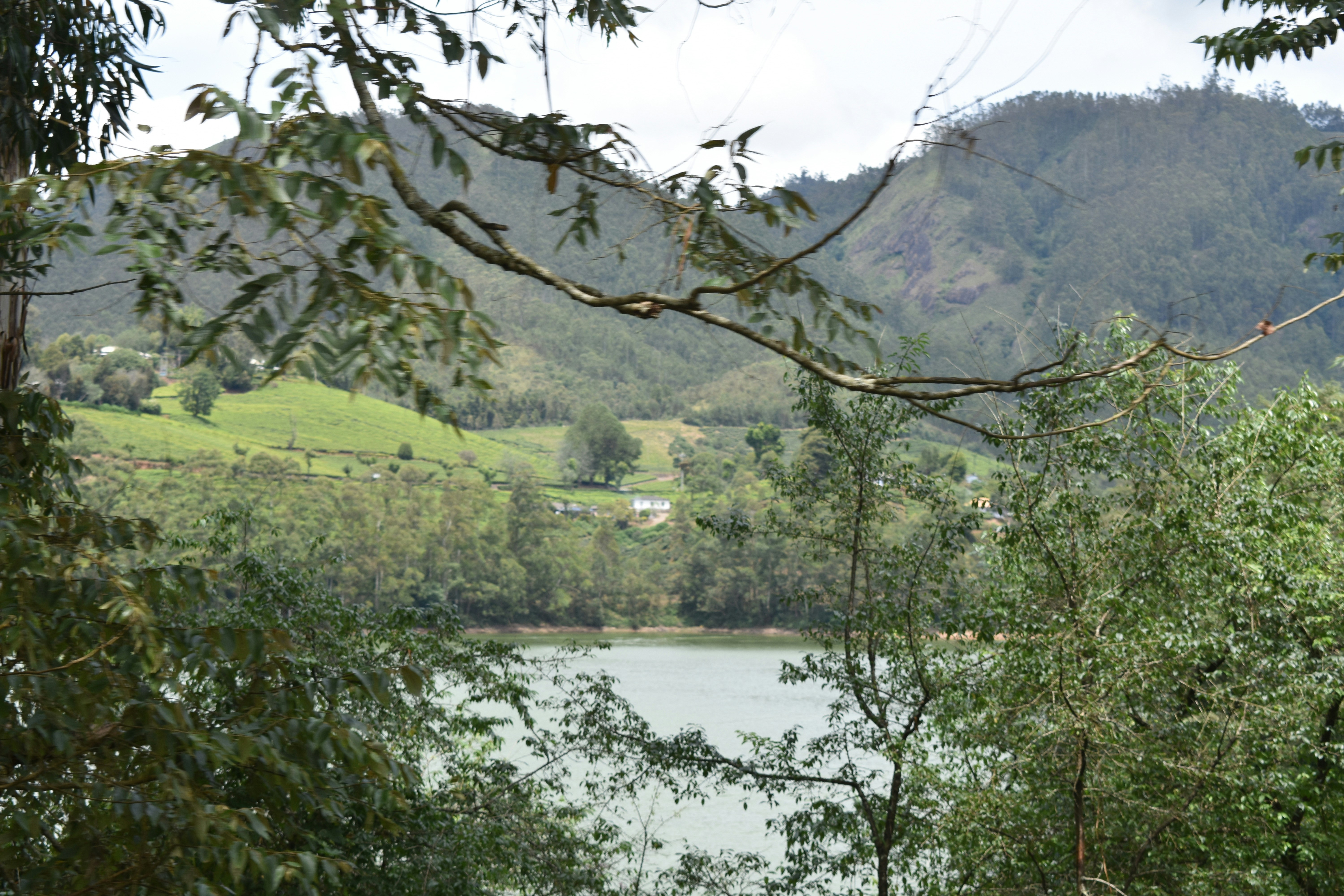Wonderful Munnar Trip