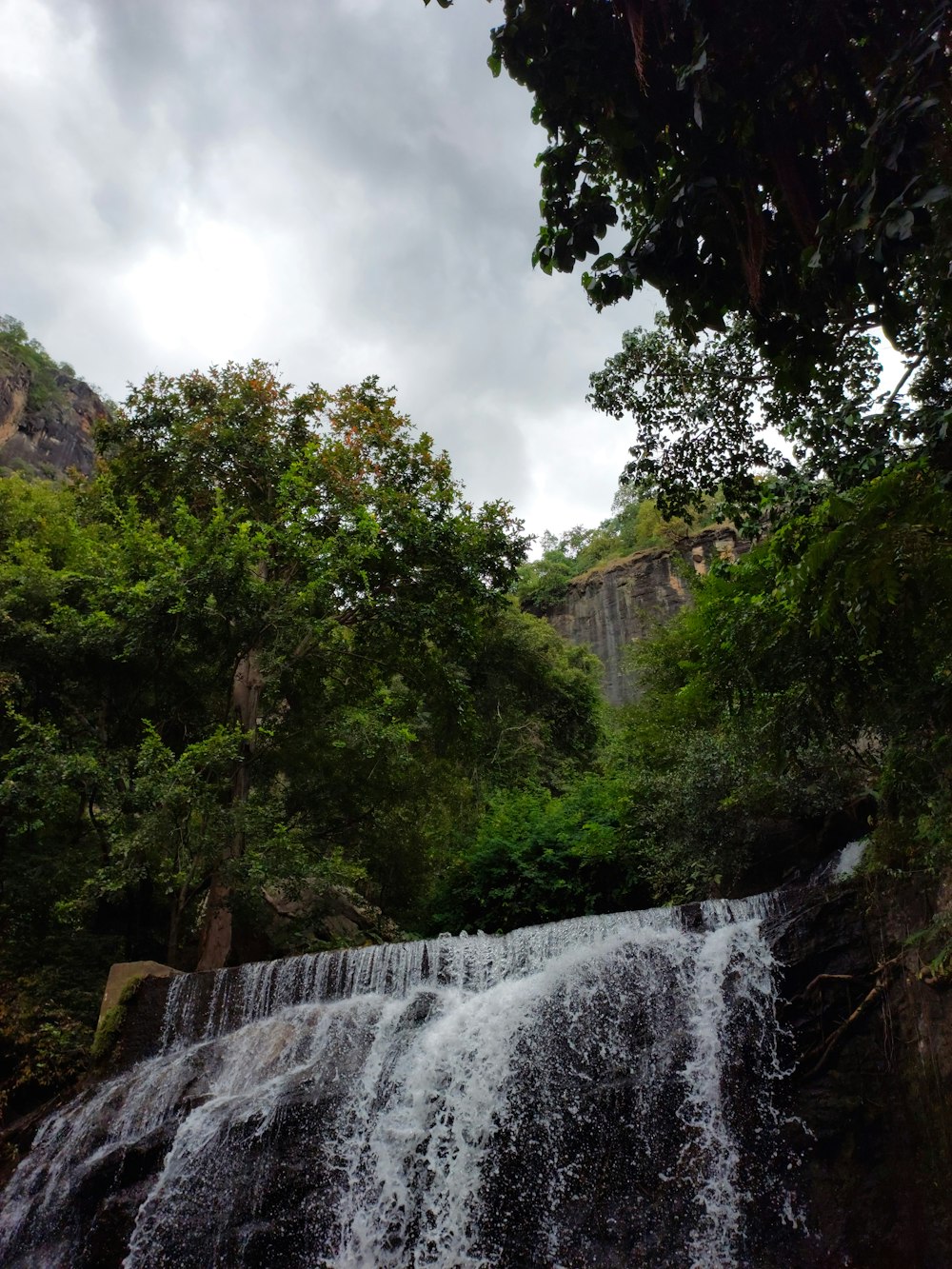 a waterfall in a forest