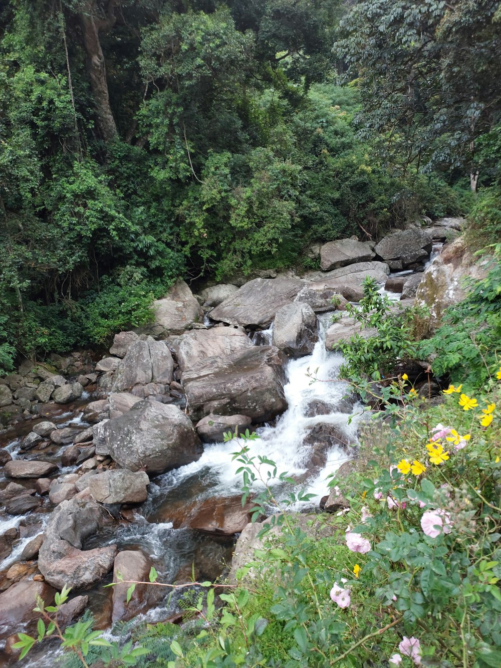 a river flowing through a rocky area
